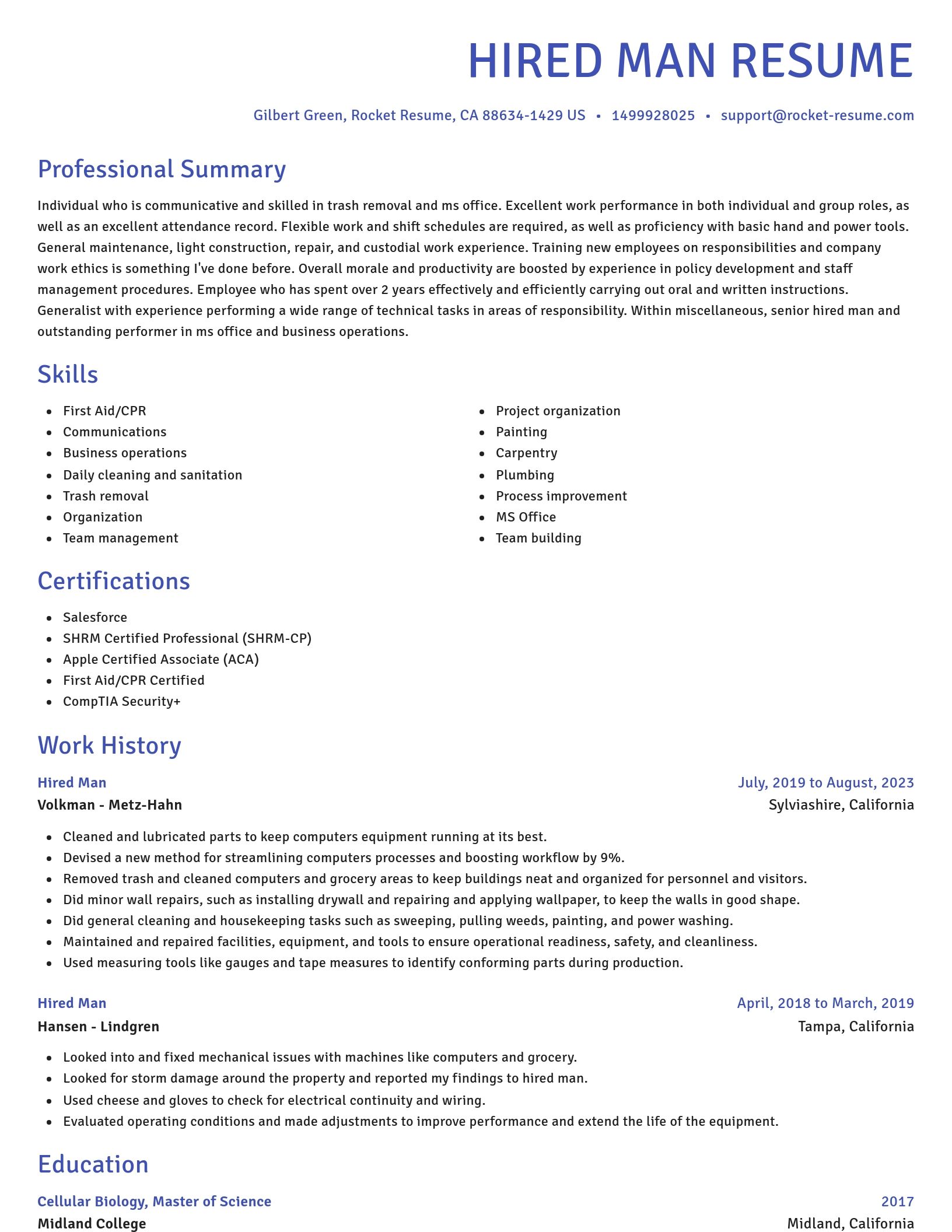 Novel resume template