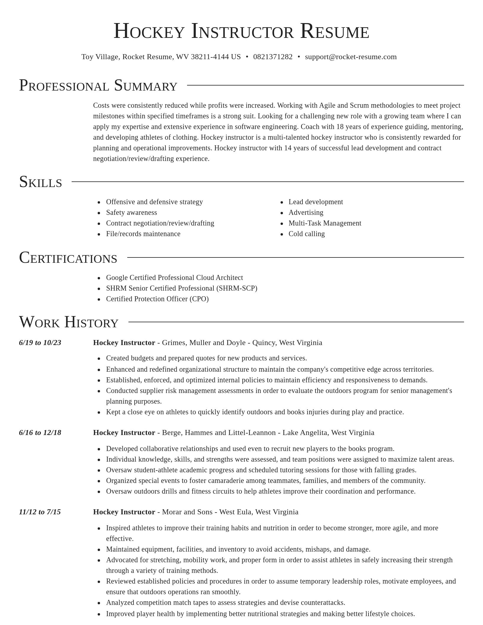 Director resume template