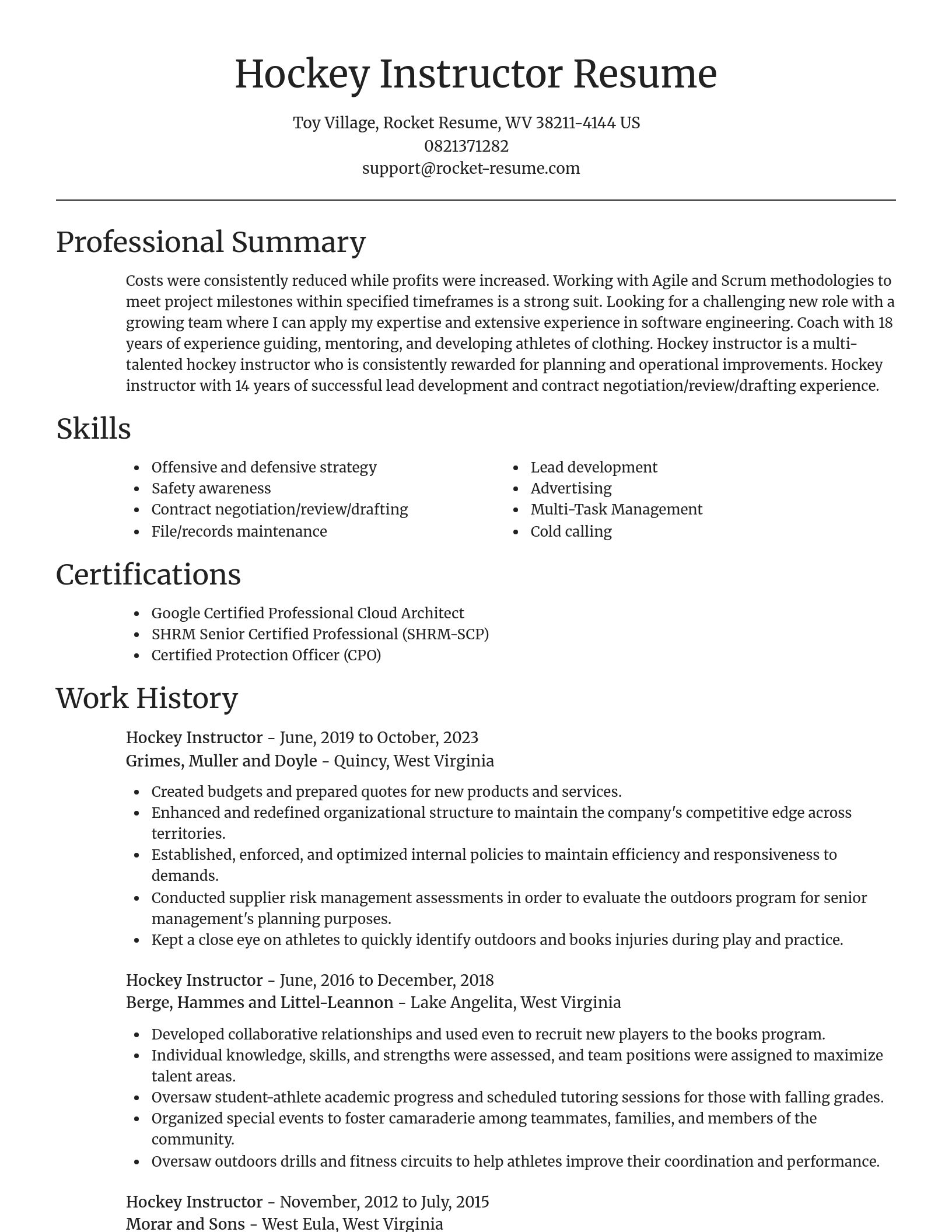 Focal Point resume template