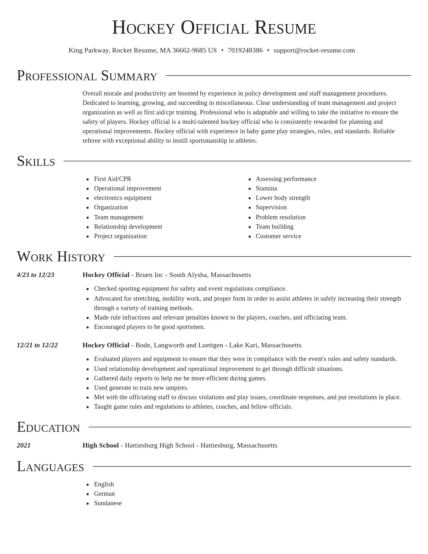 Director resume template