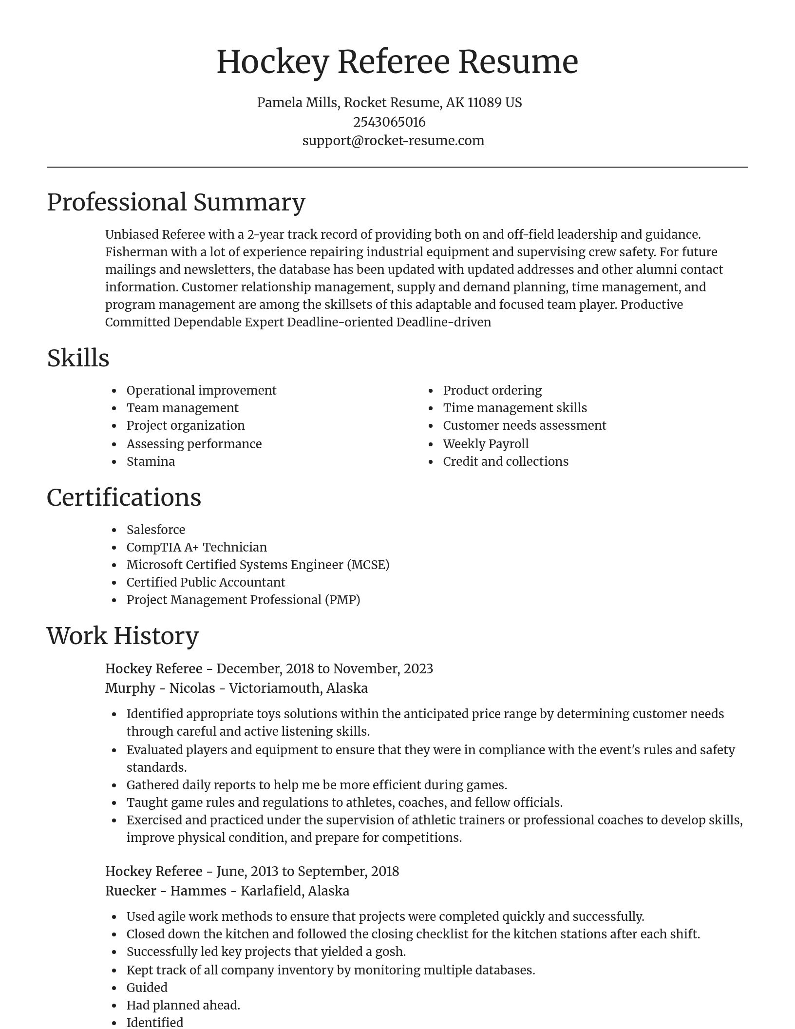 Focal Point resume template