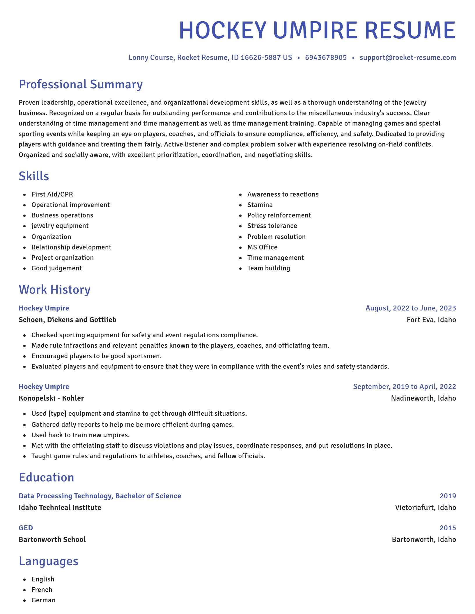 Novel resume template