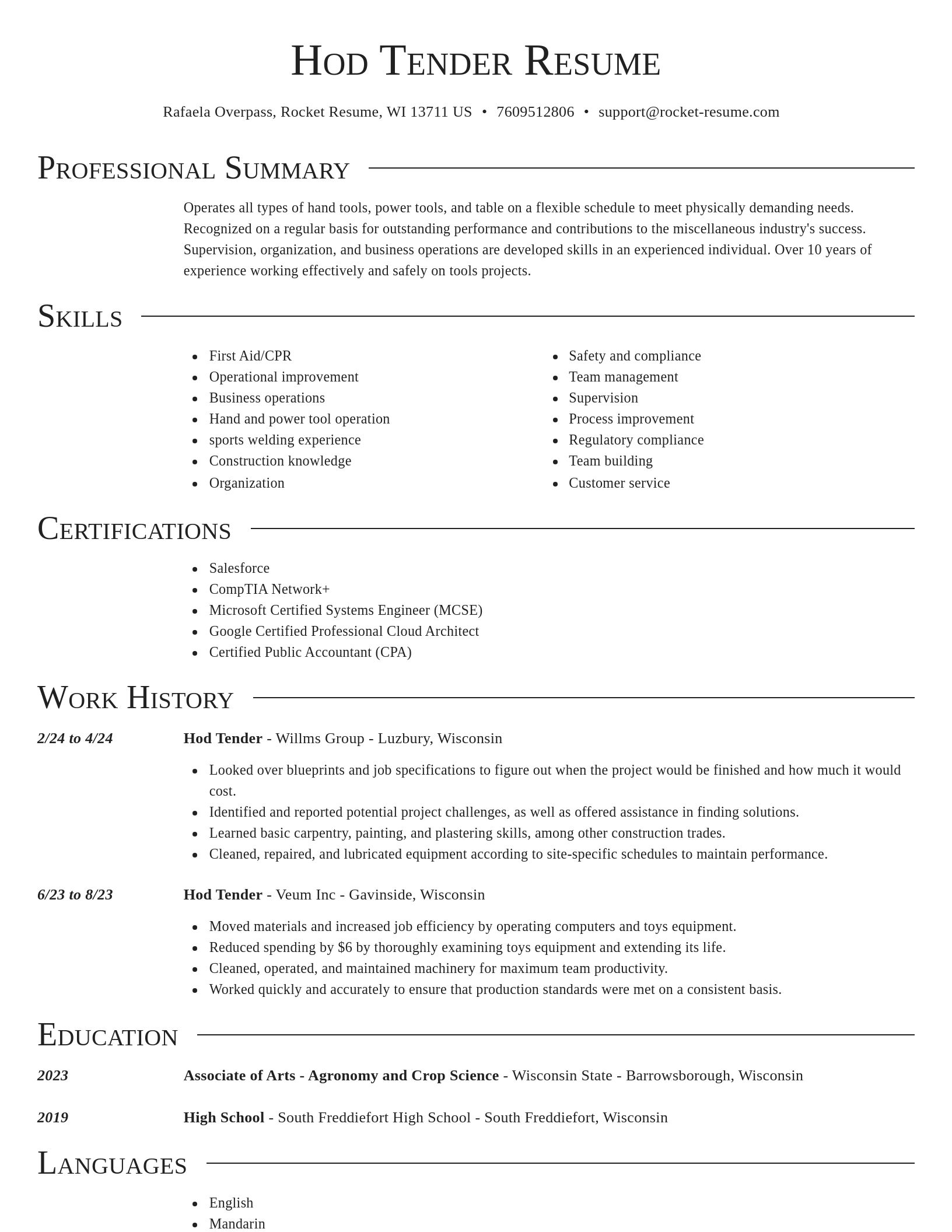 Director resume template