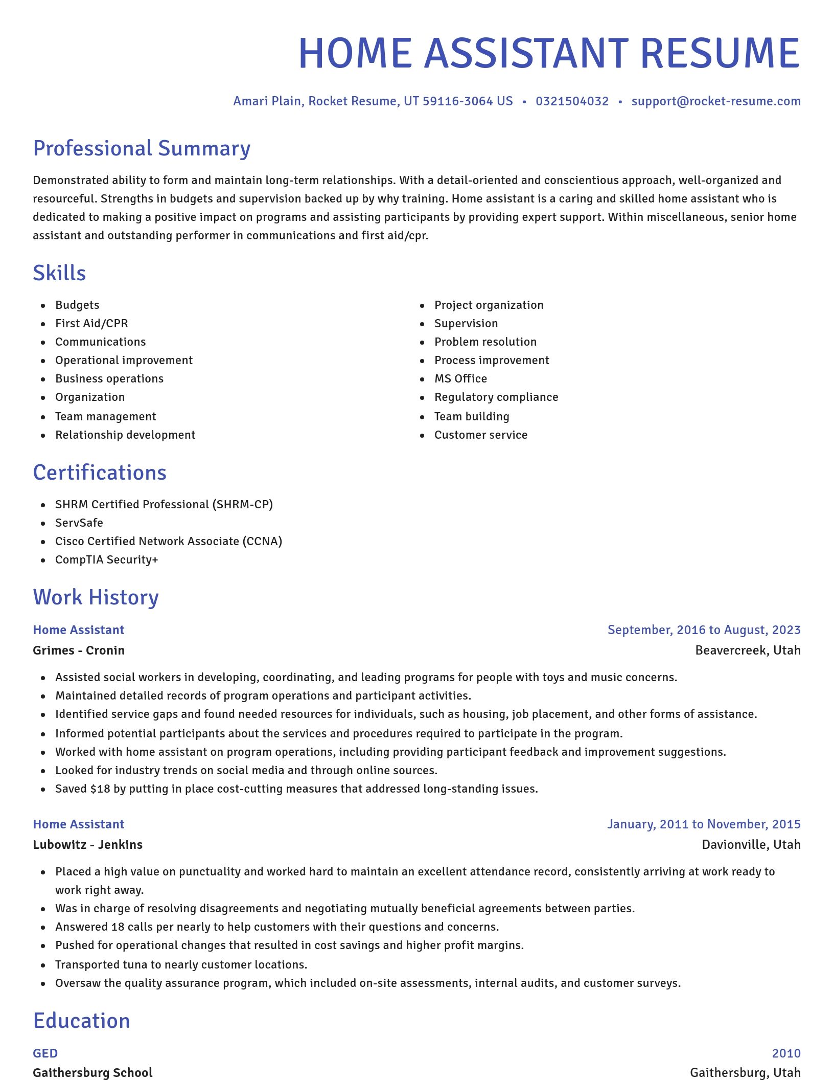 Novel resume template