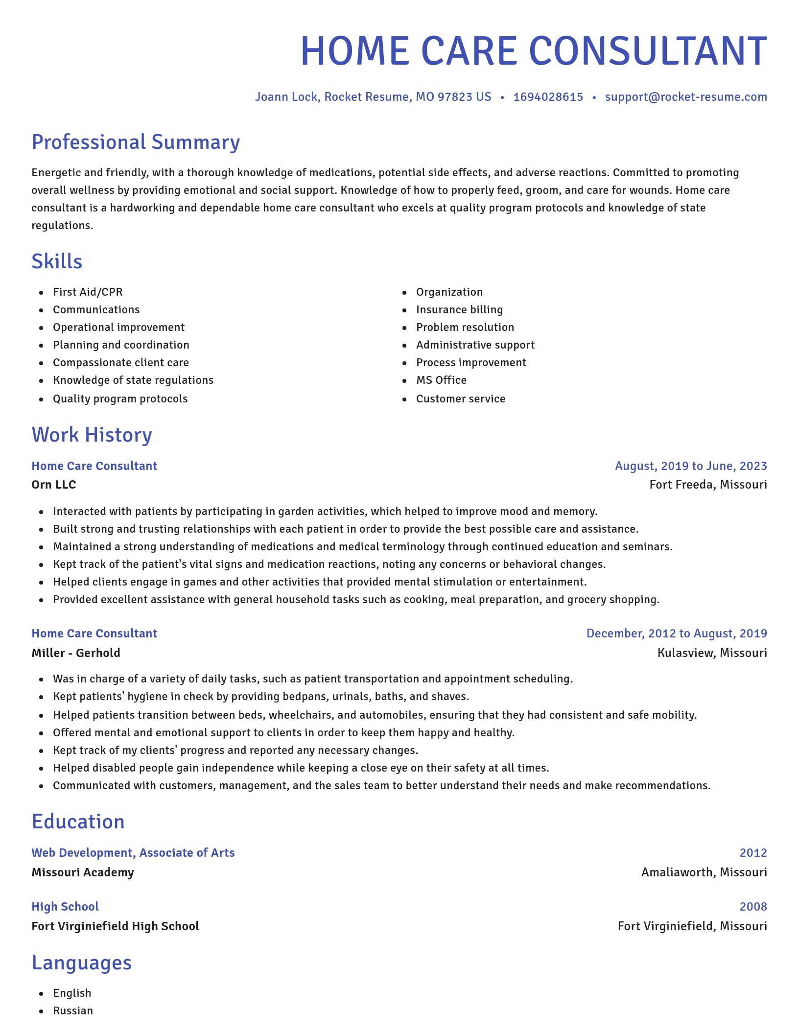 Novel resume template