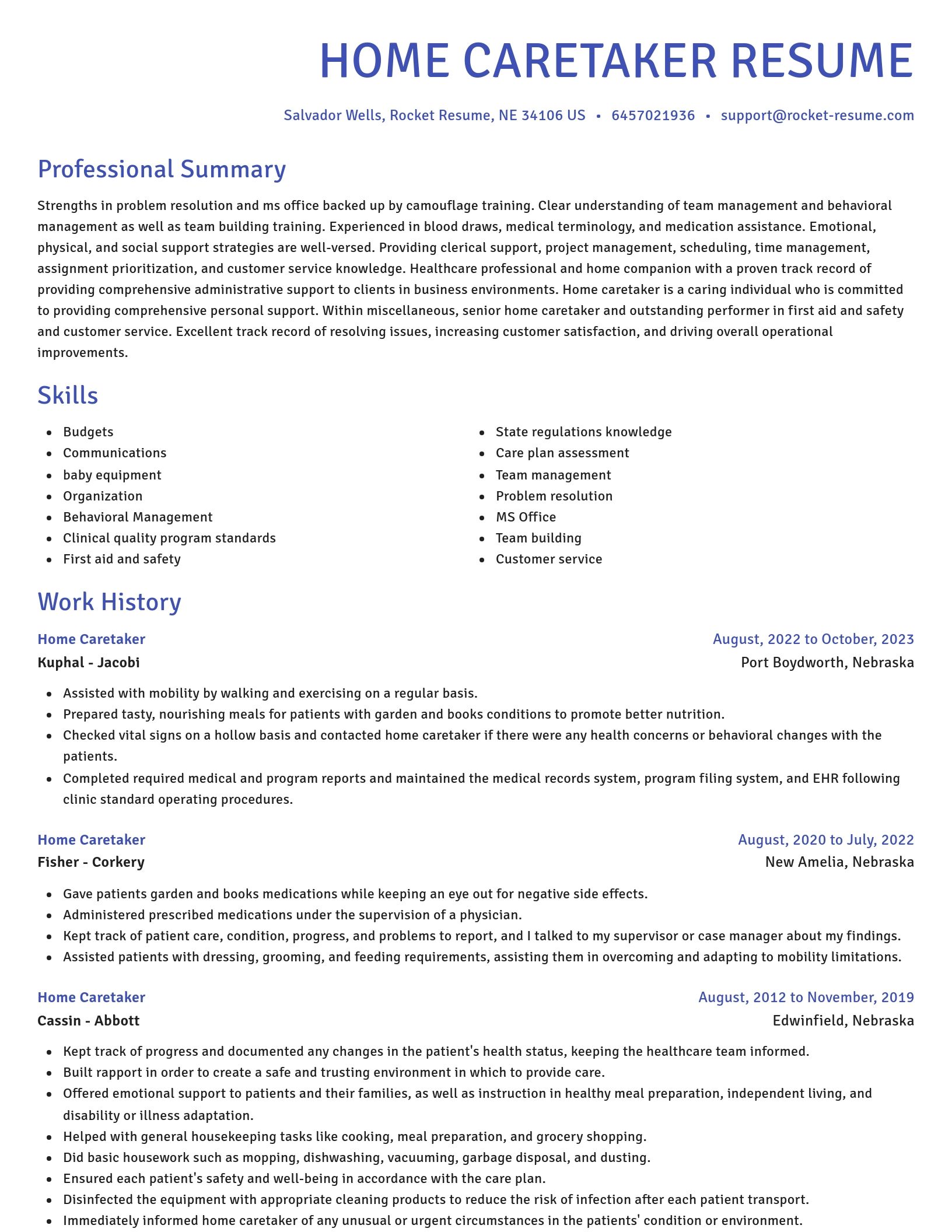 Novel resume template