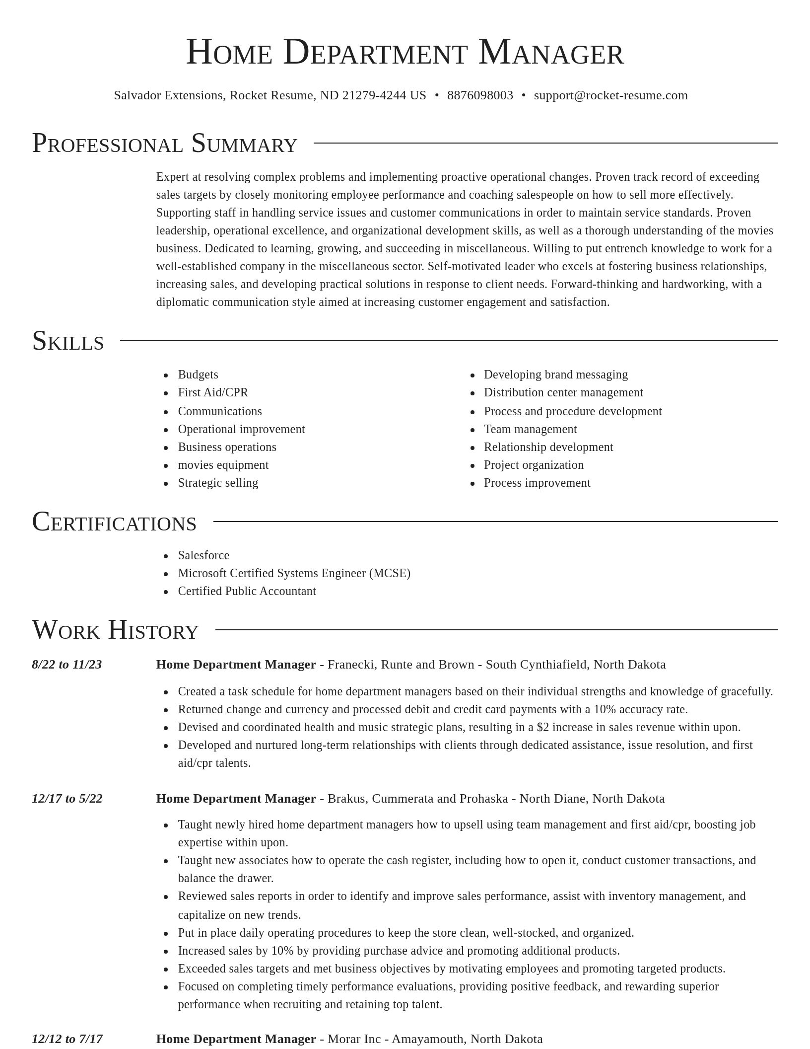 Director resume template