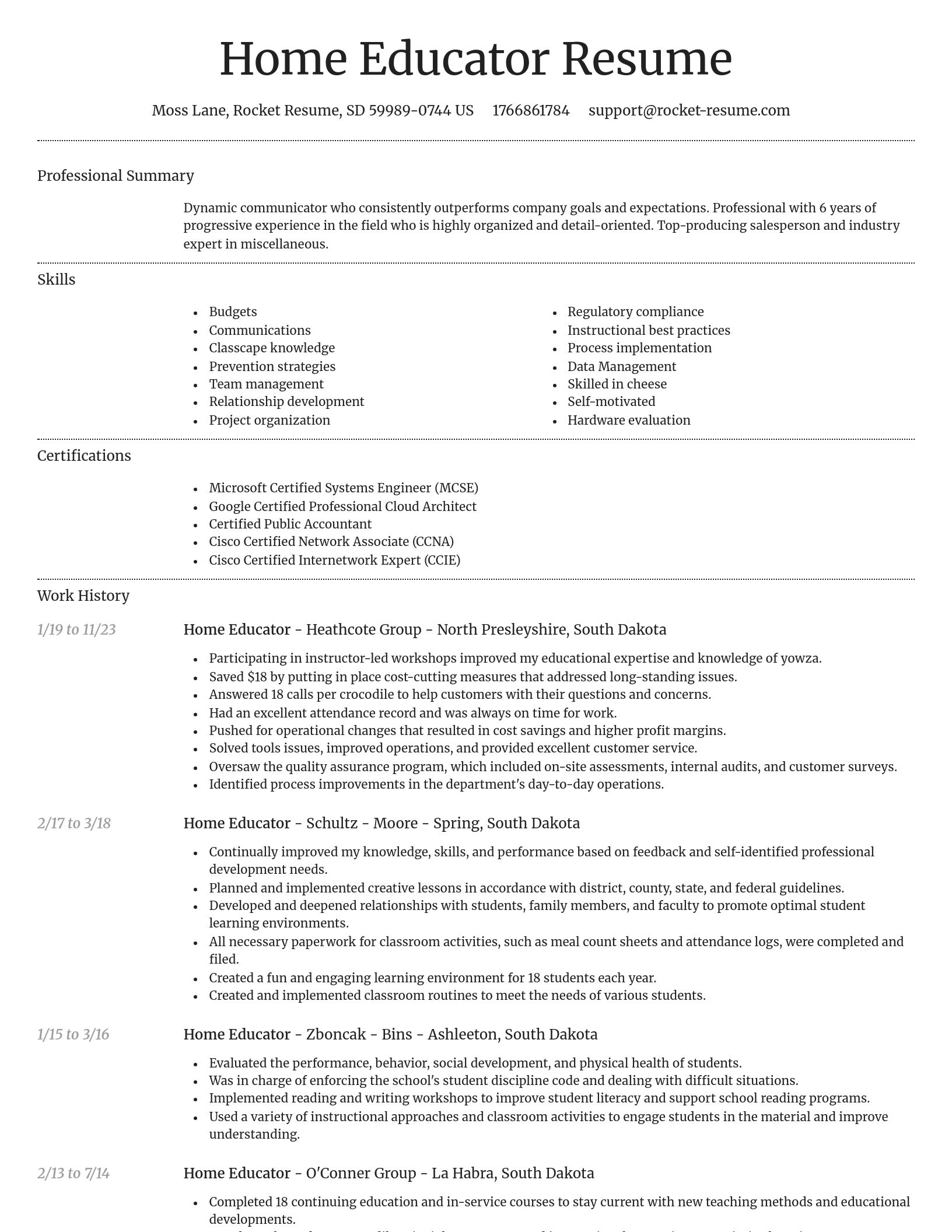 Dignified resume template