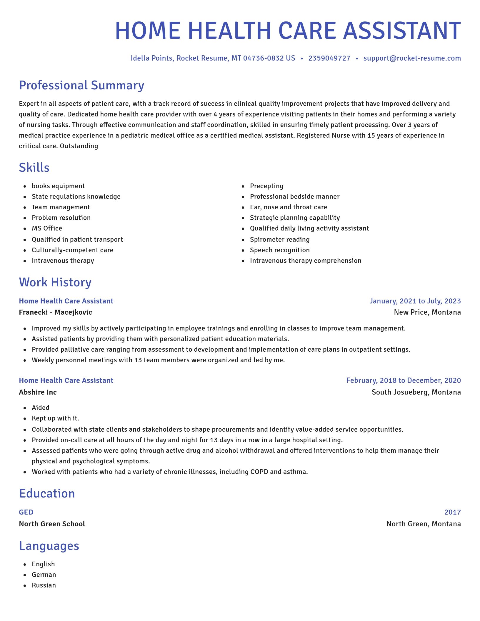 Novel resume template