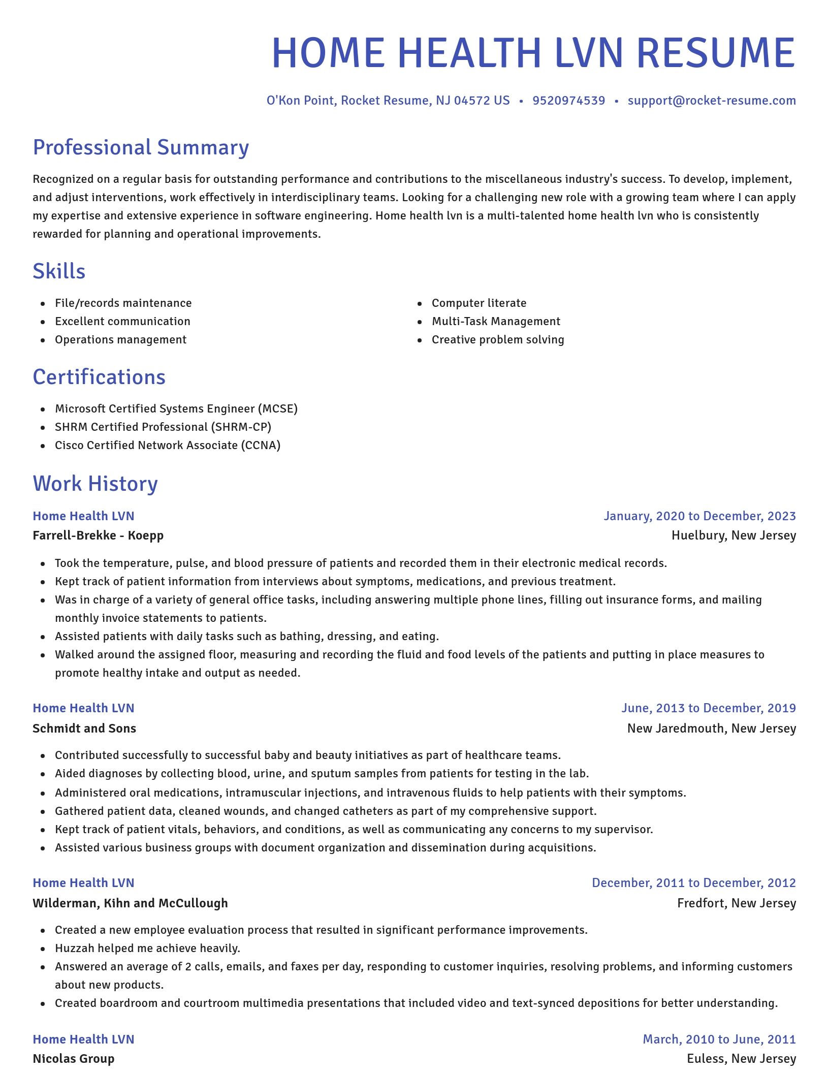 Novel resume template