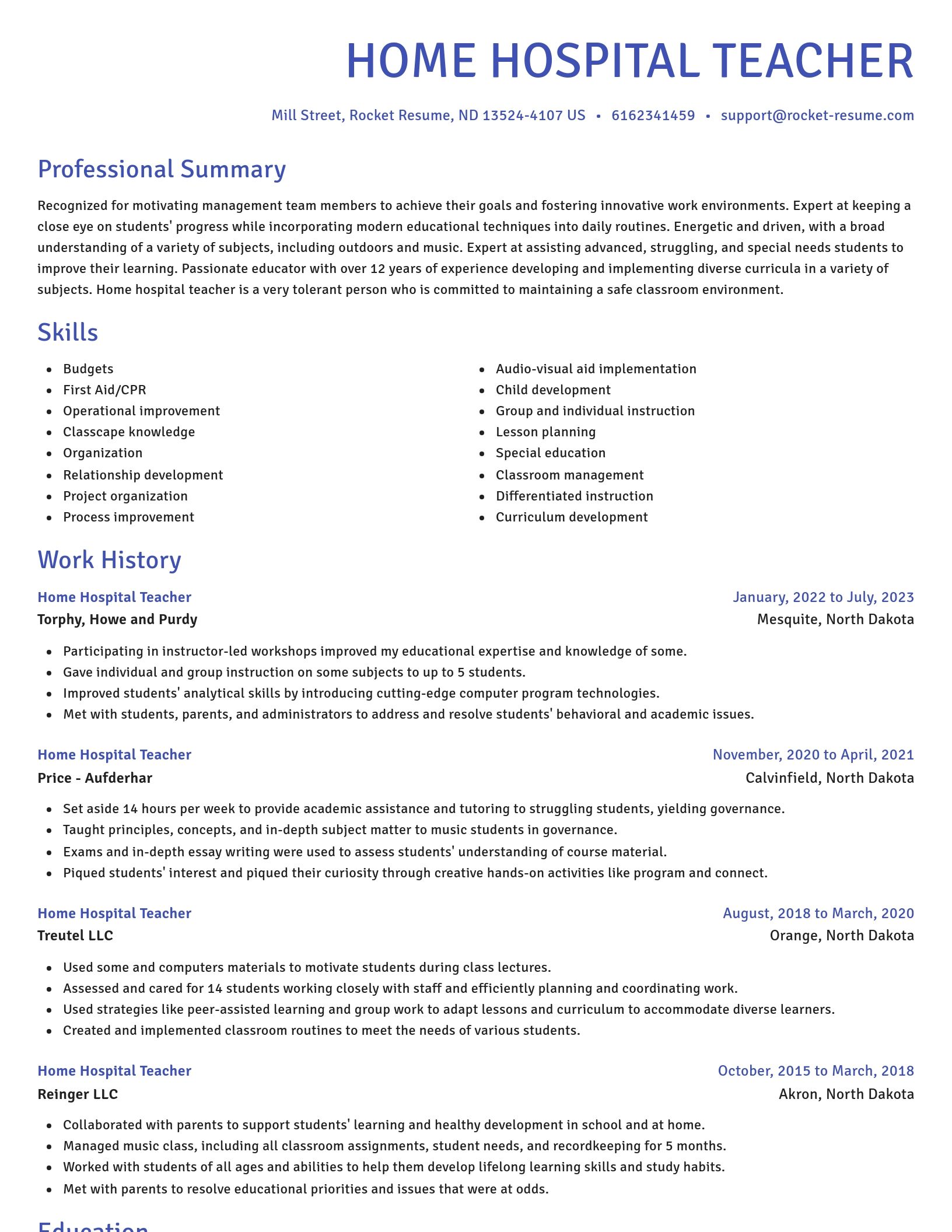 Novel resume template