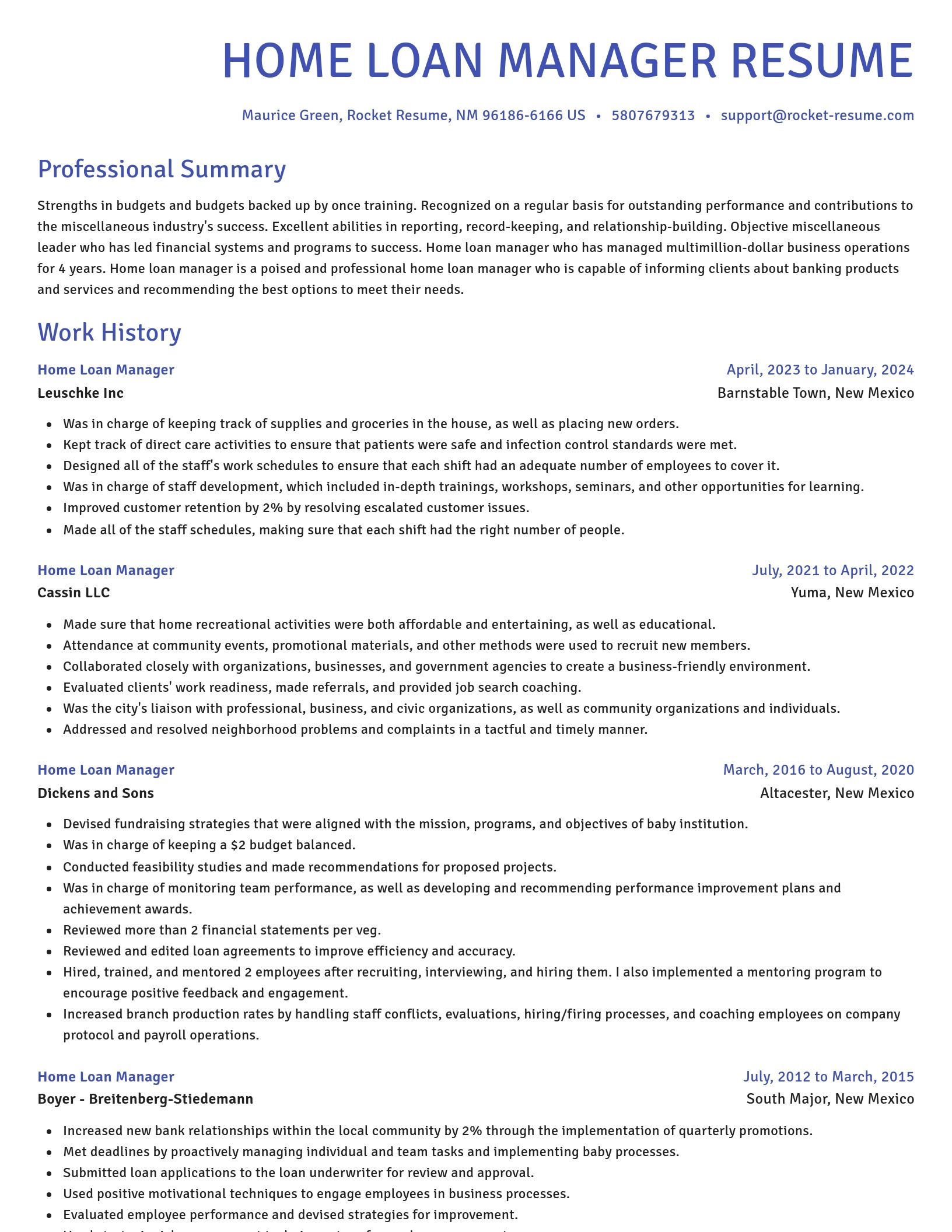 Novel resume template