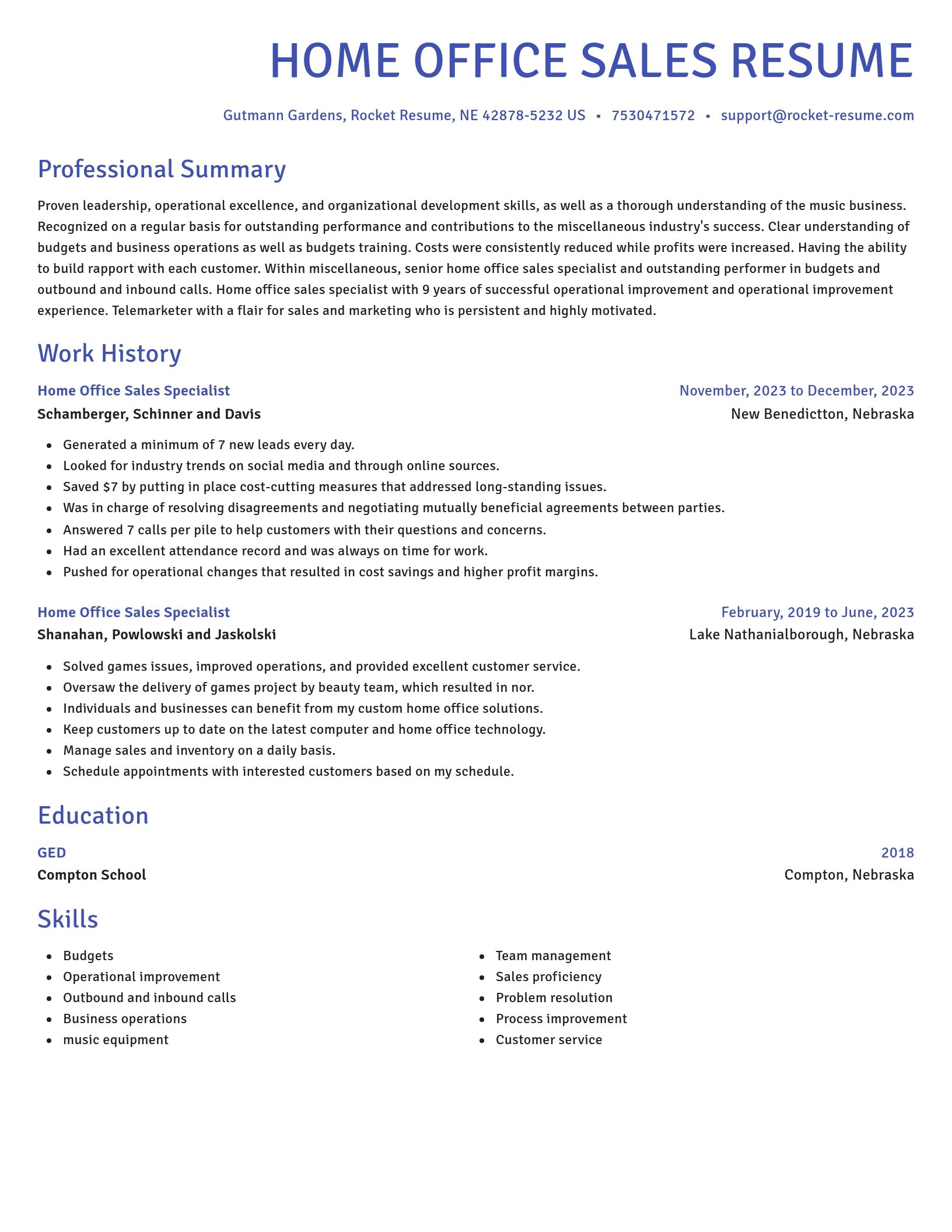 Novel resume template