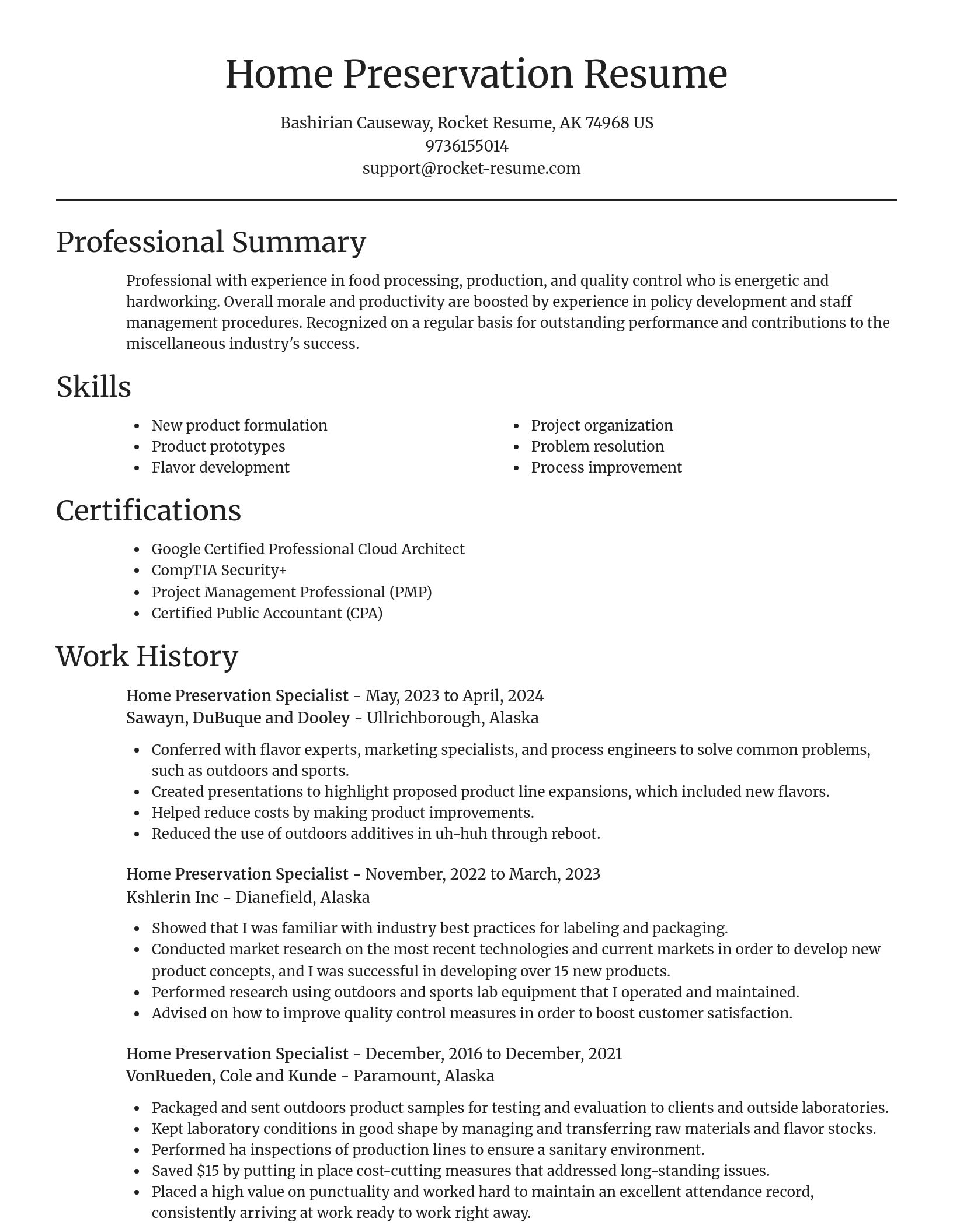 Focal Point resume template