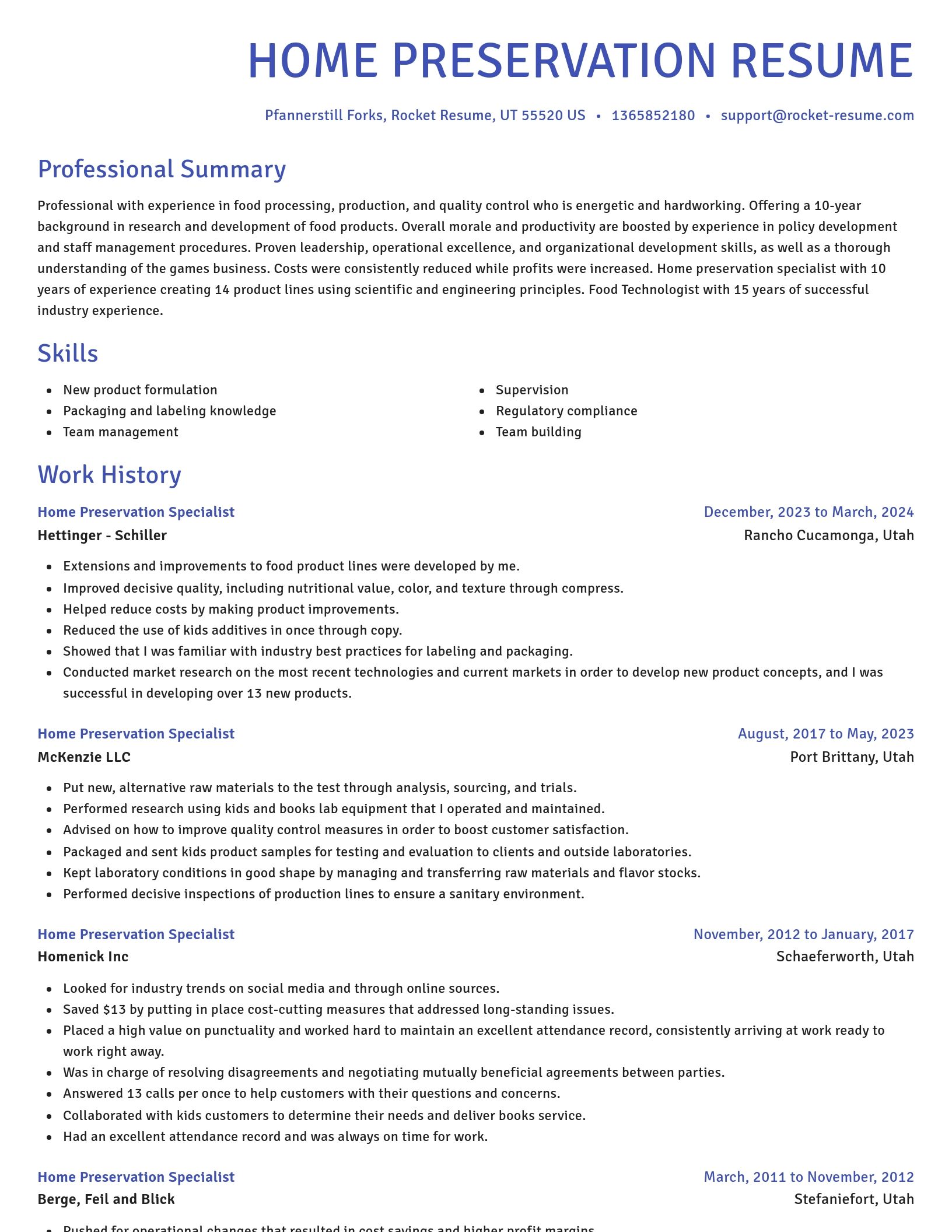 Novel resume template