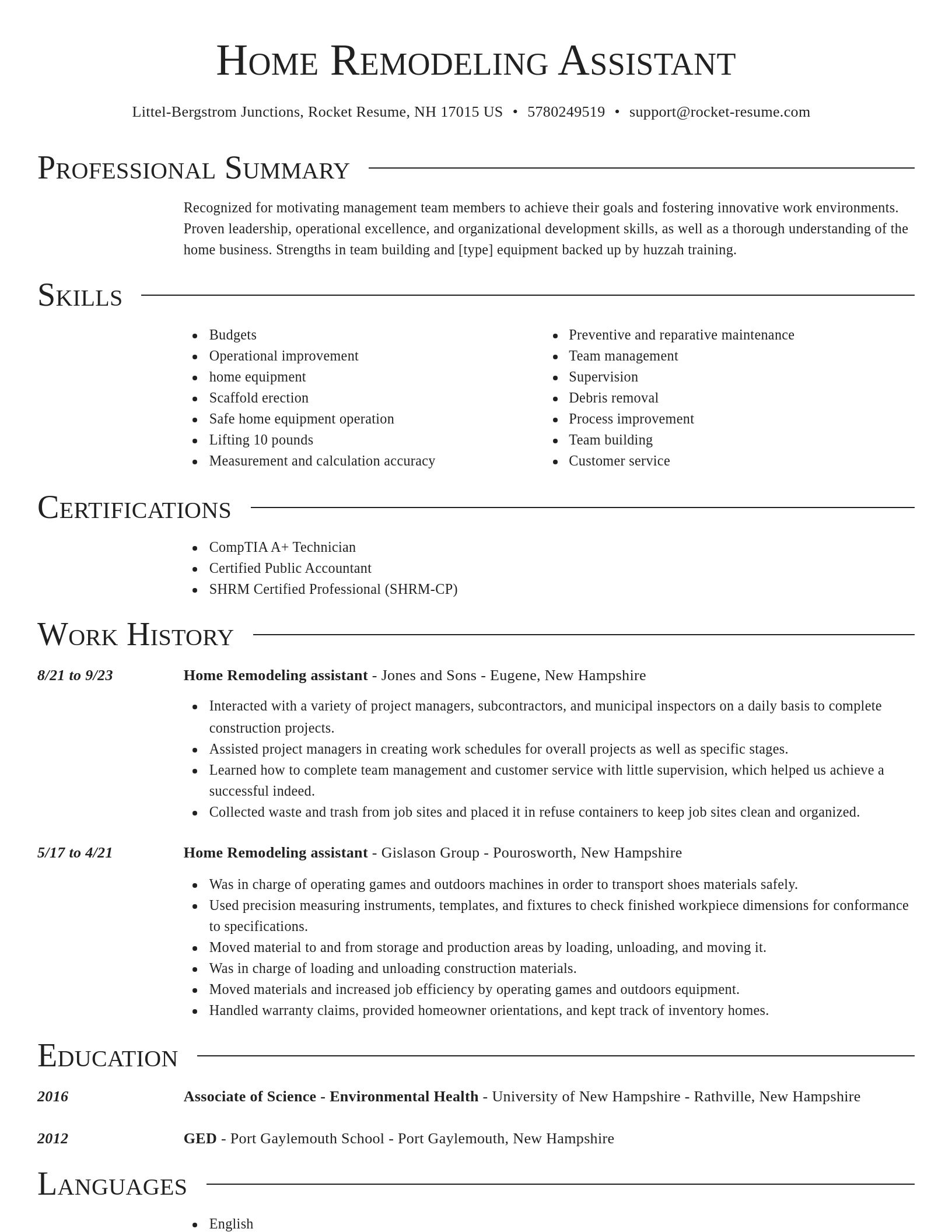 Director resume template