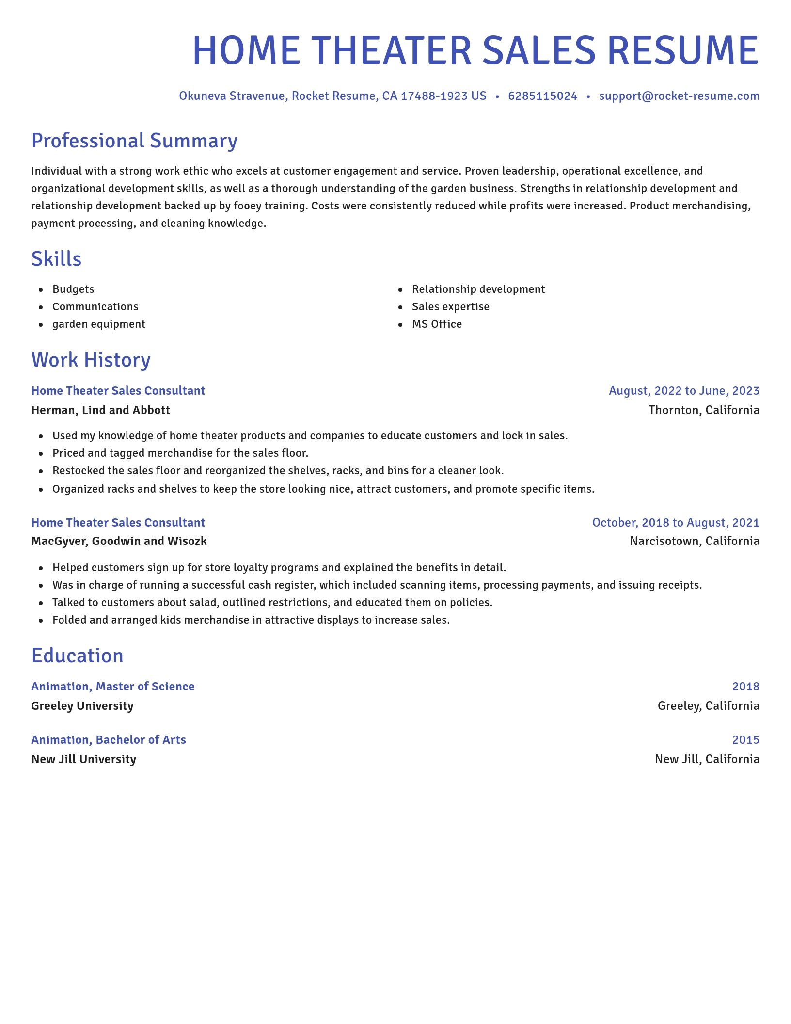 Novel resume template