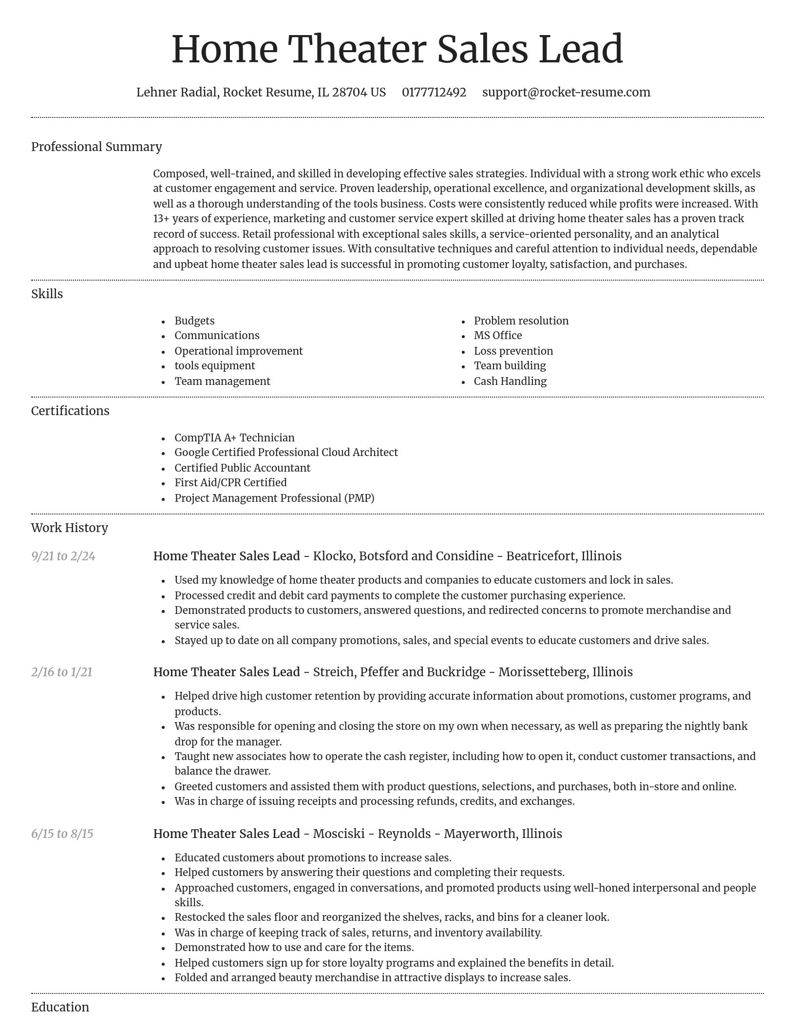 Dignified resume template