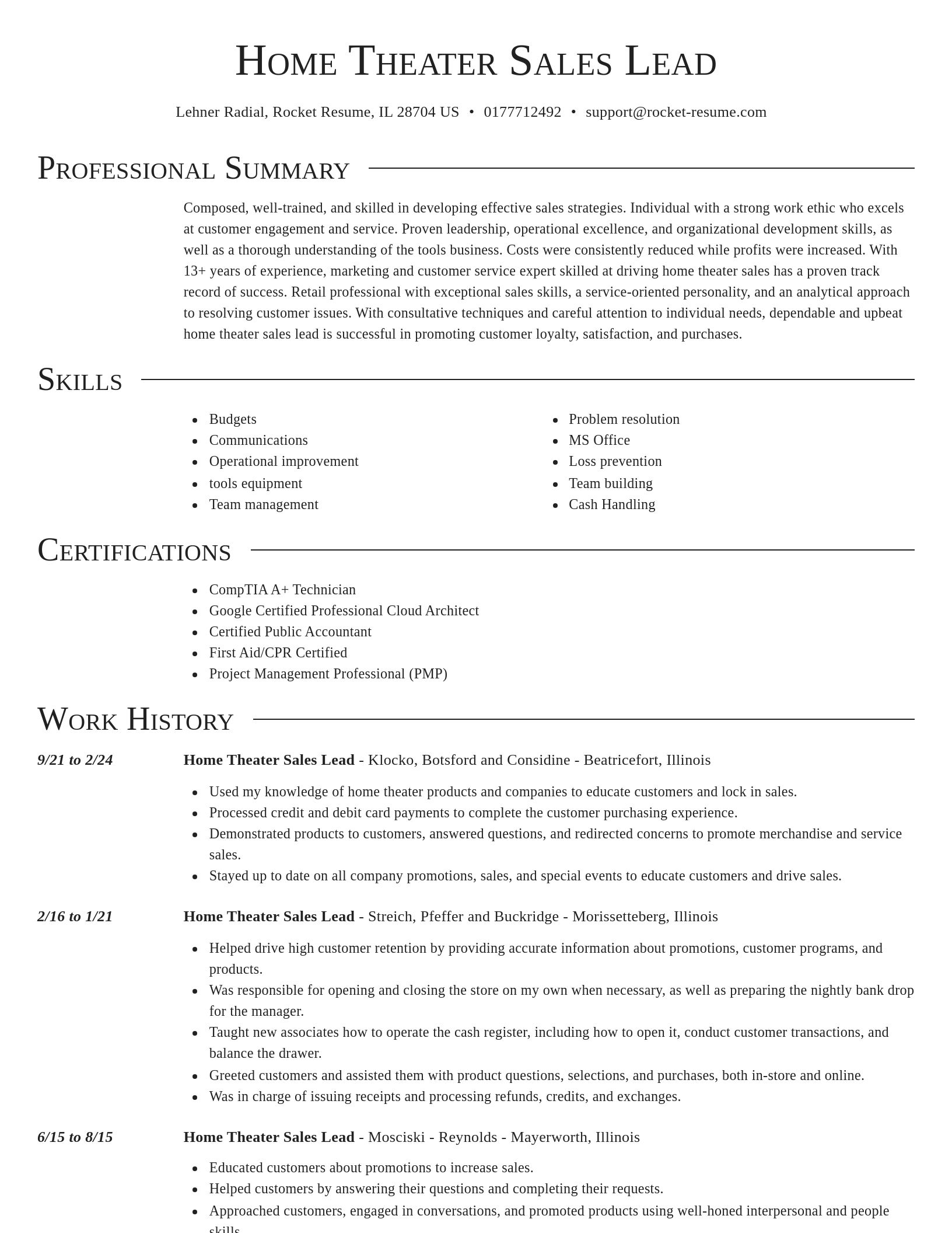 Director resume template