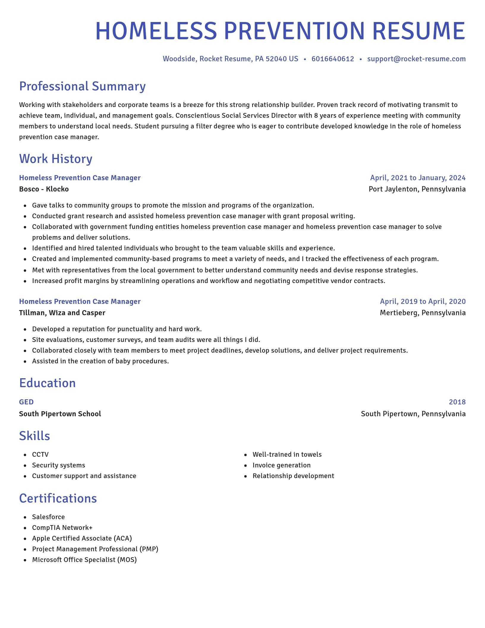 Novel resume template