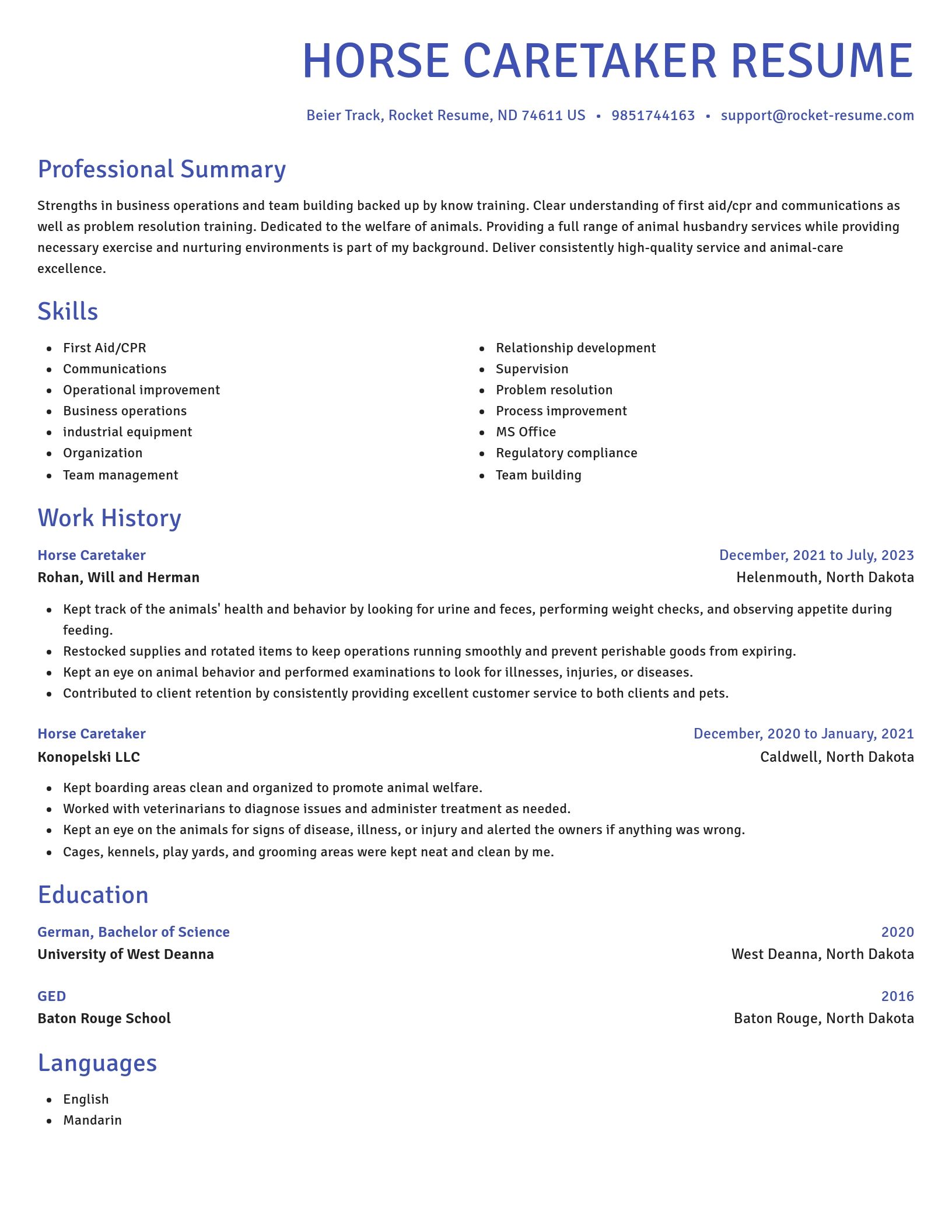 Novel resume template