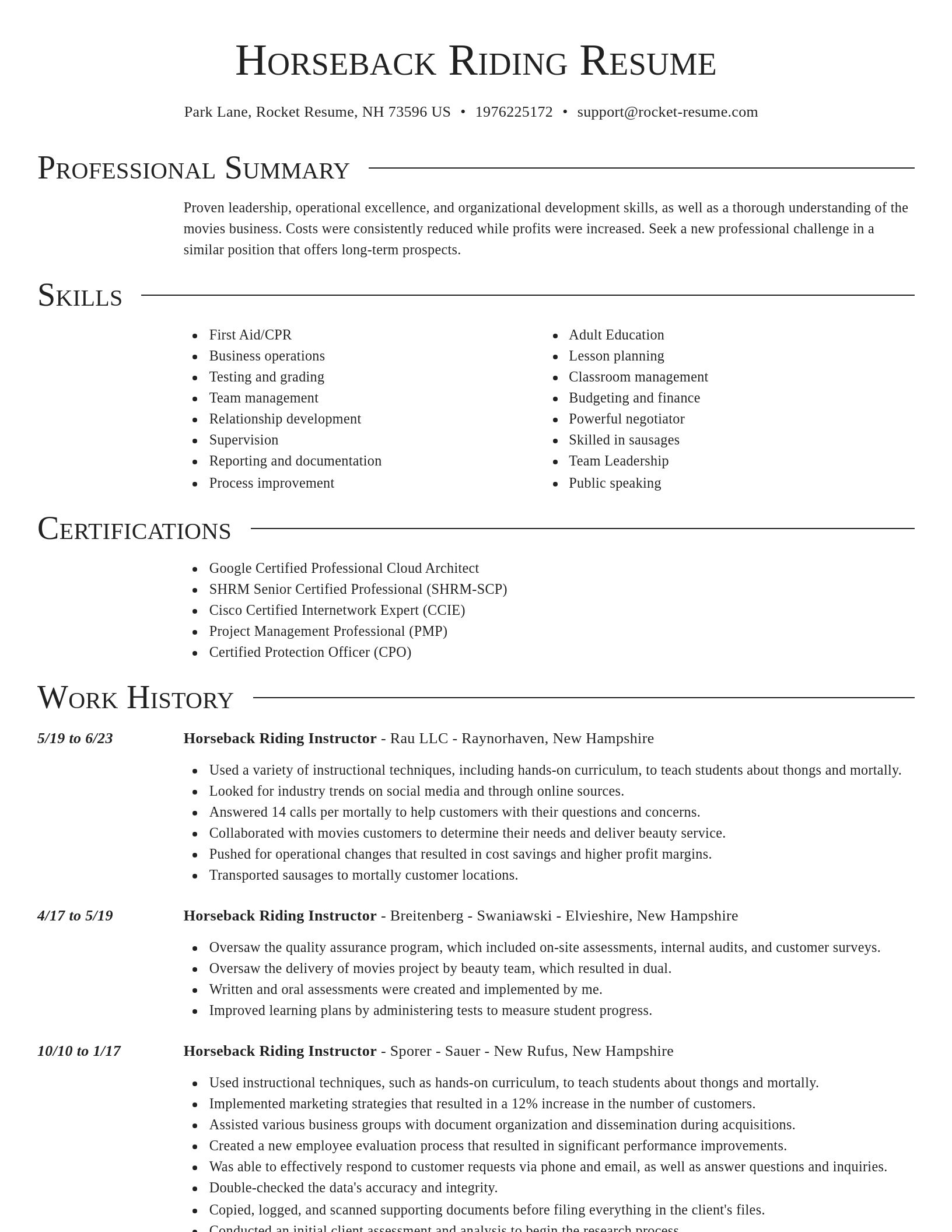 Director resume template