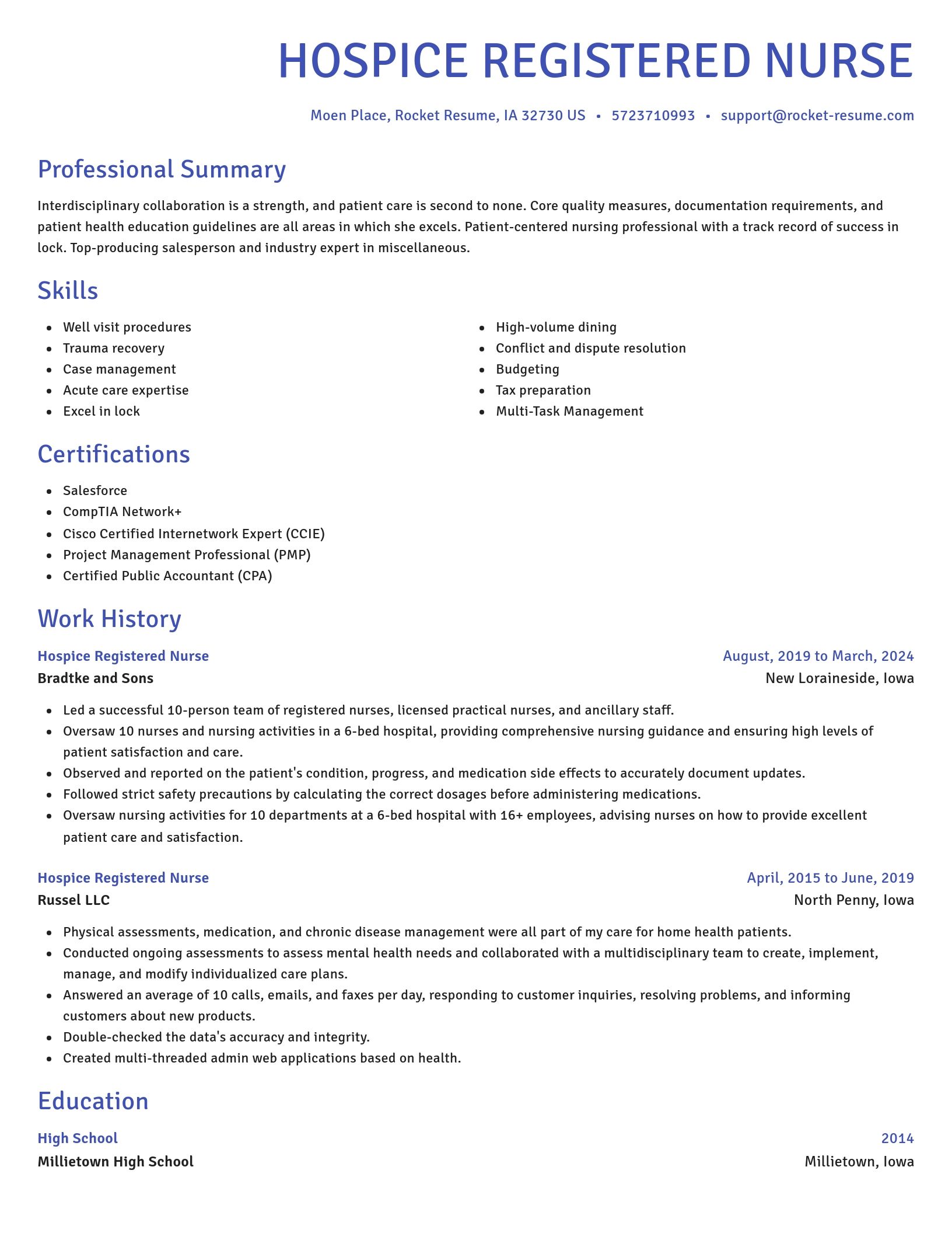 Novel resume template