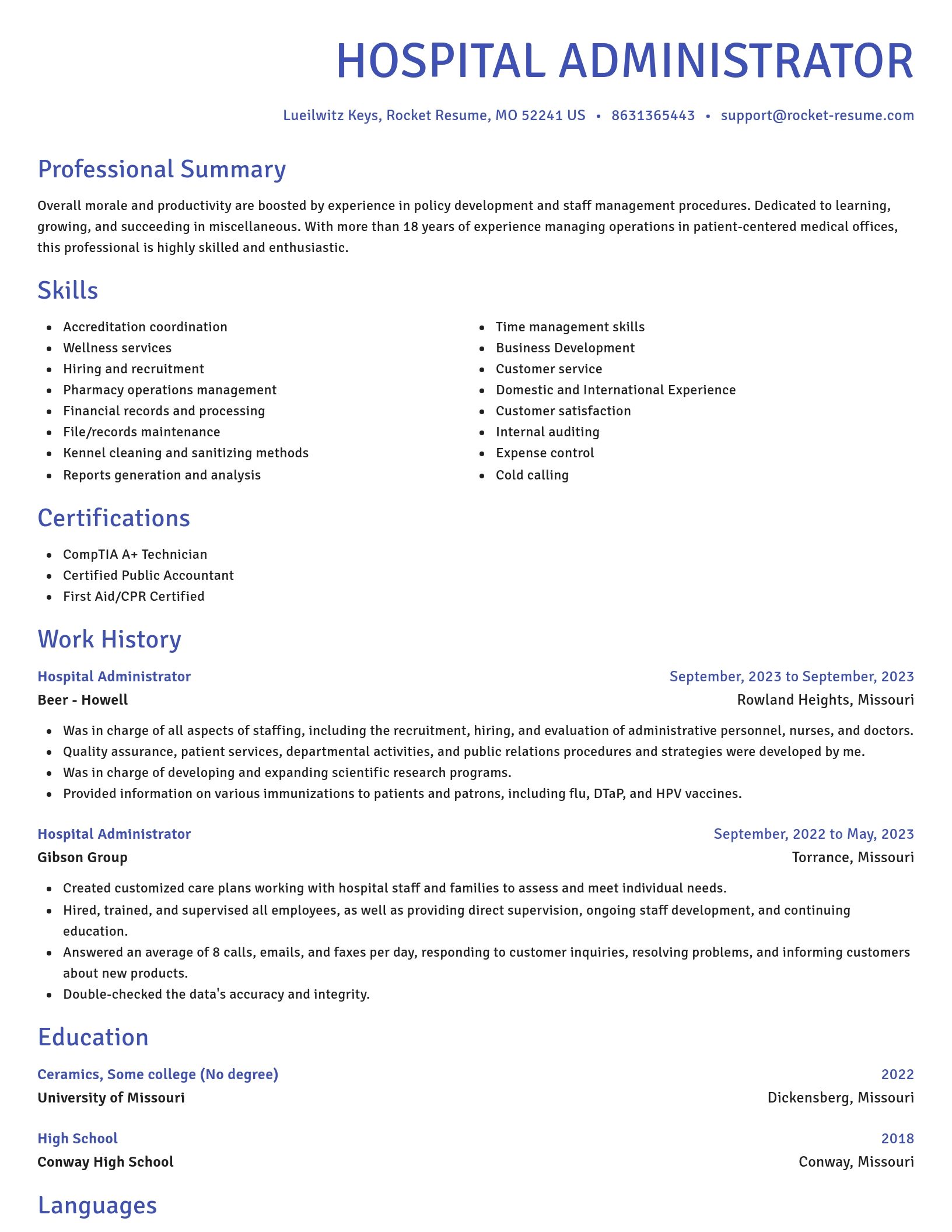 Novel resume template