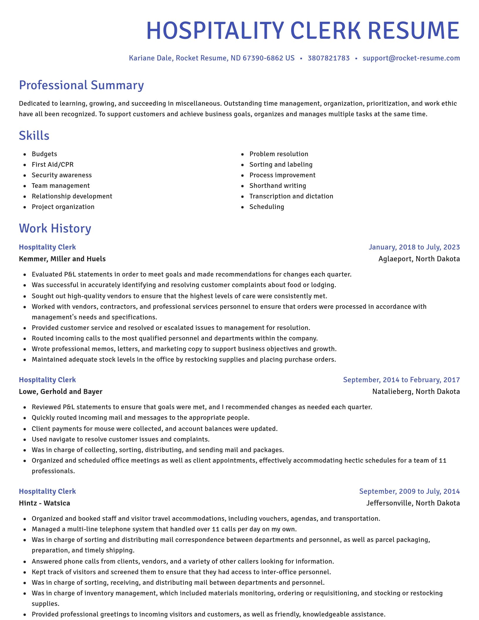 Novel resume template