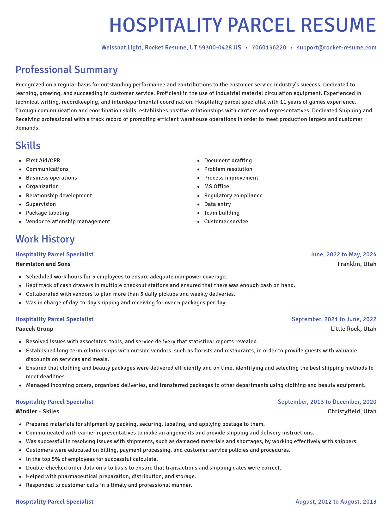 Novel resume template