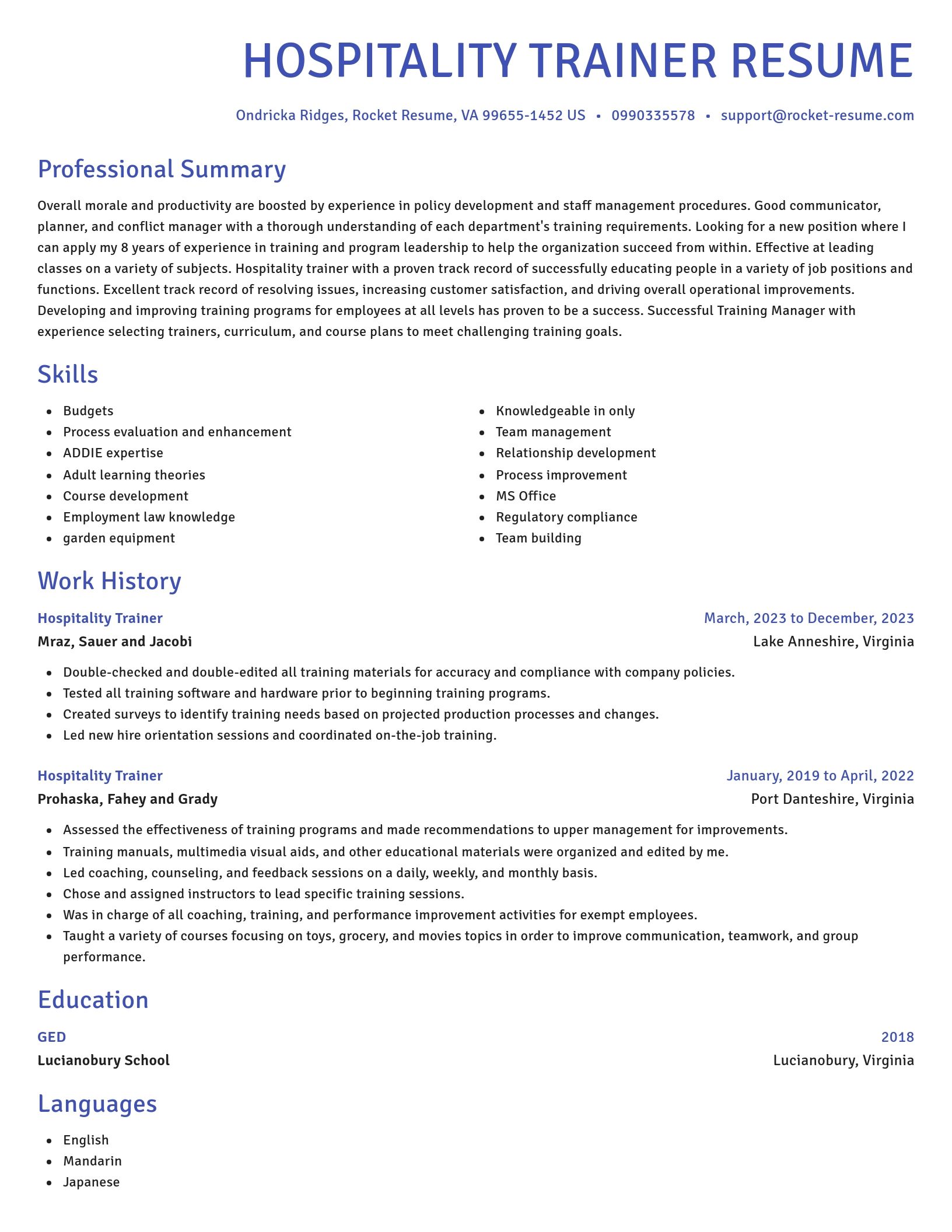 Novel resume template
