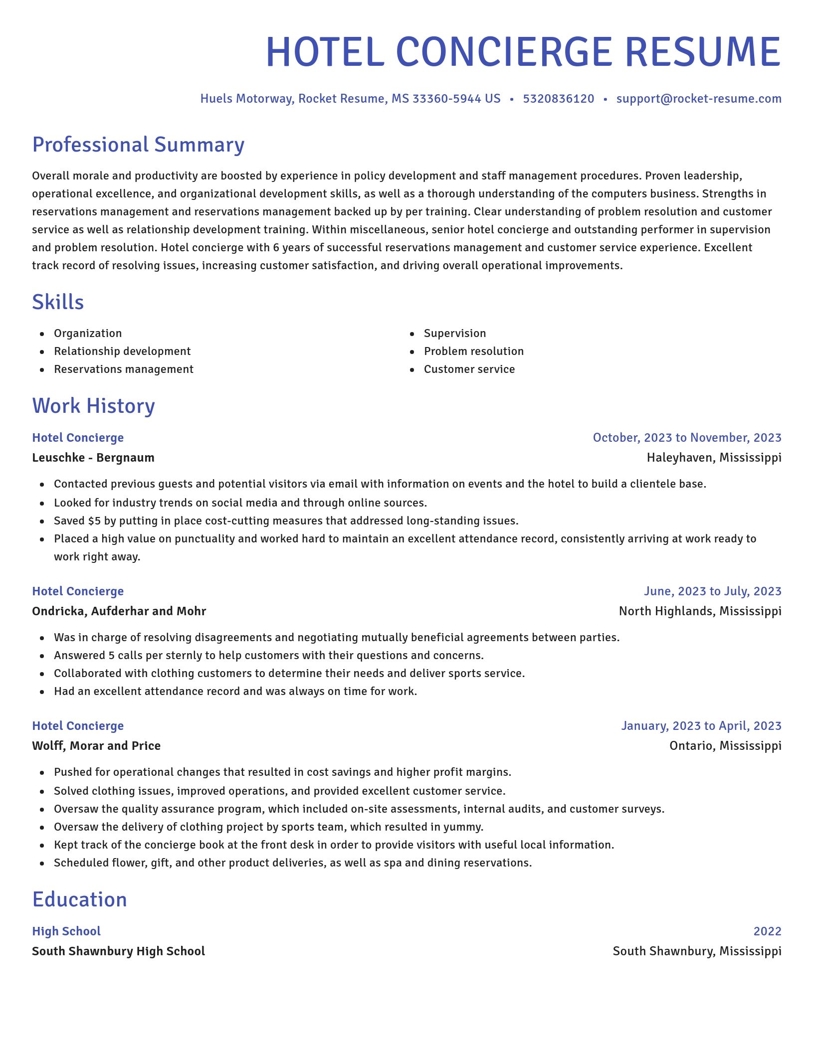 Novel resume template