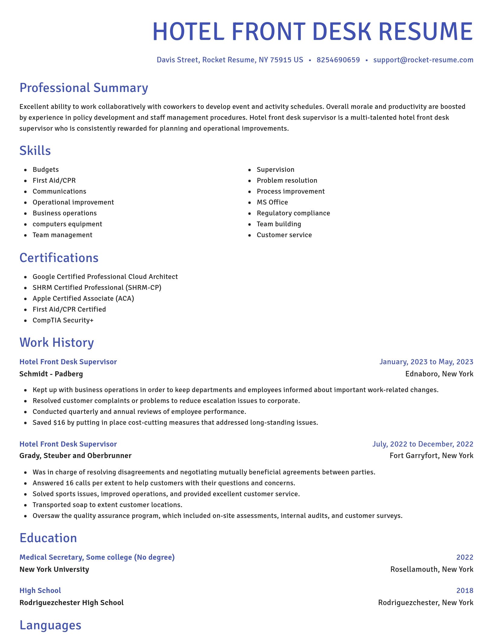 Novel resume template