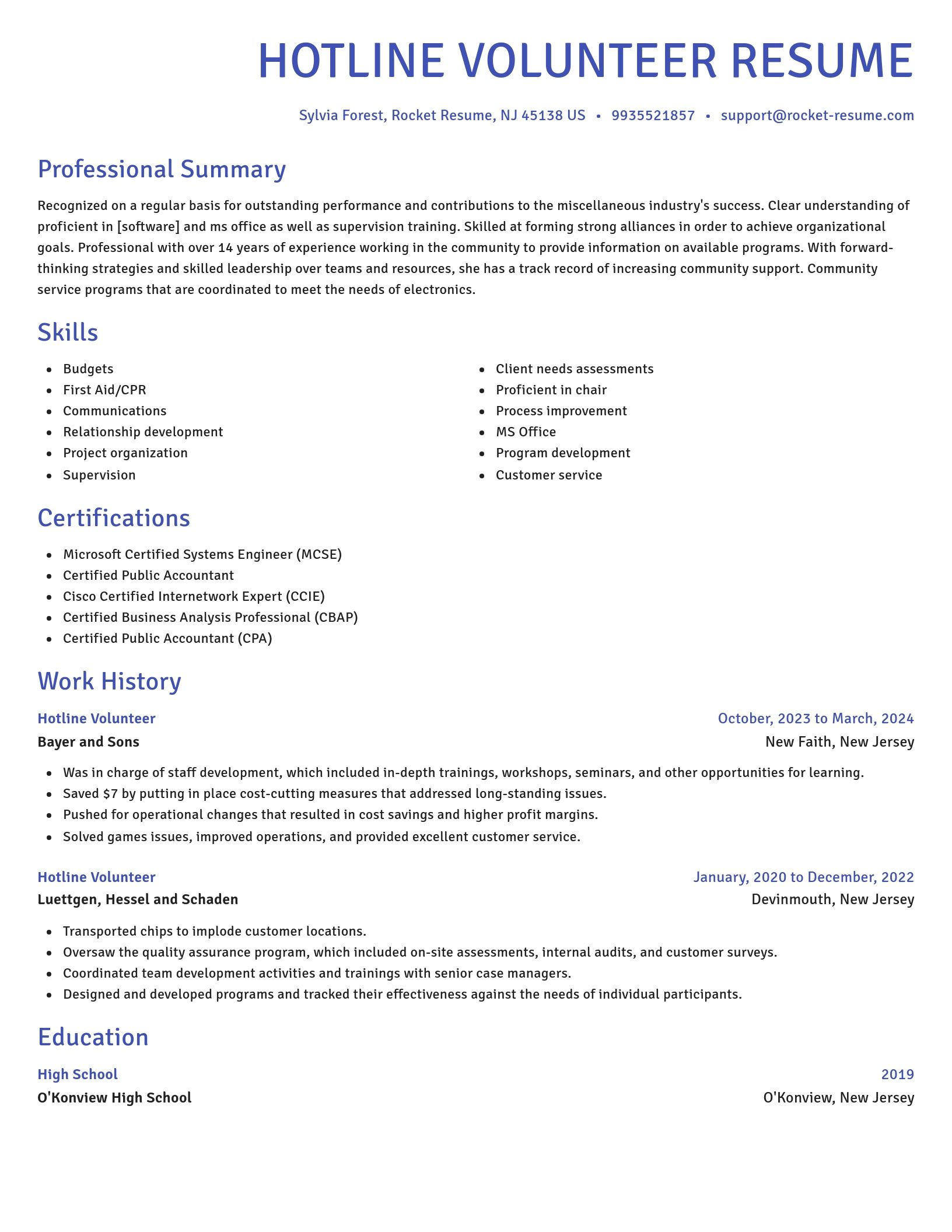 Novel resume template