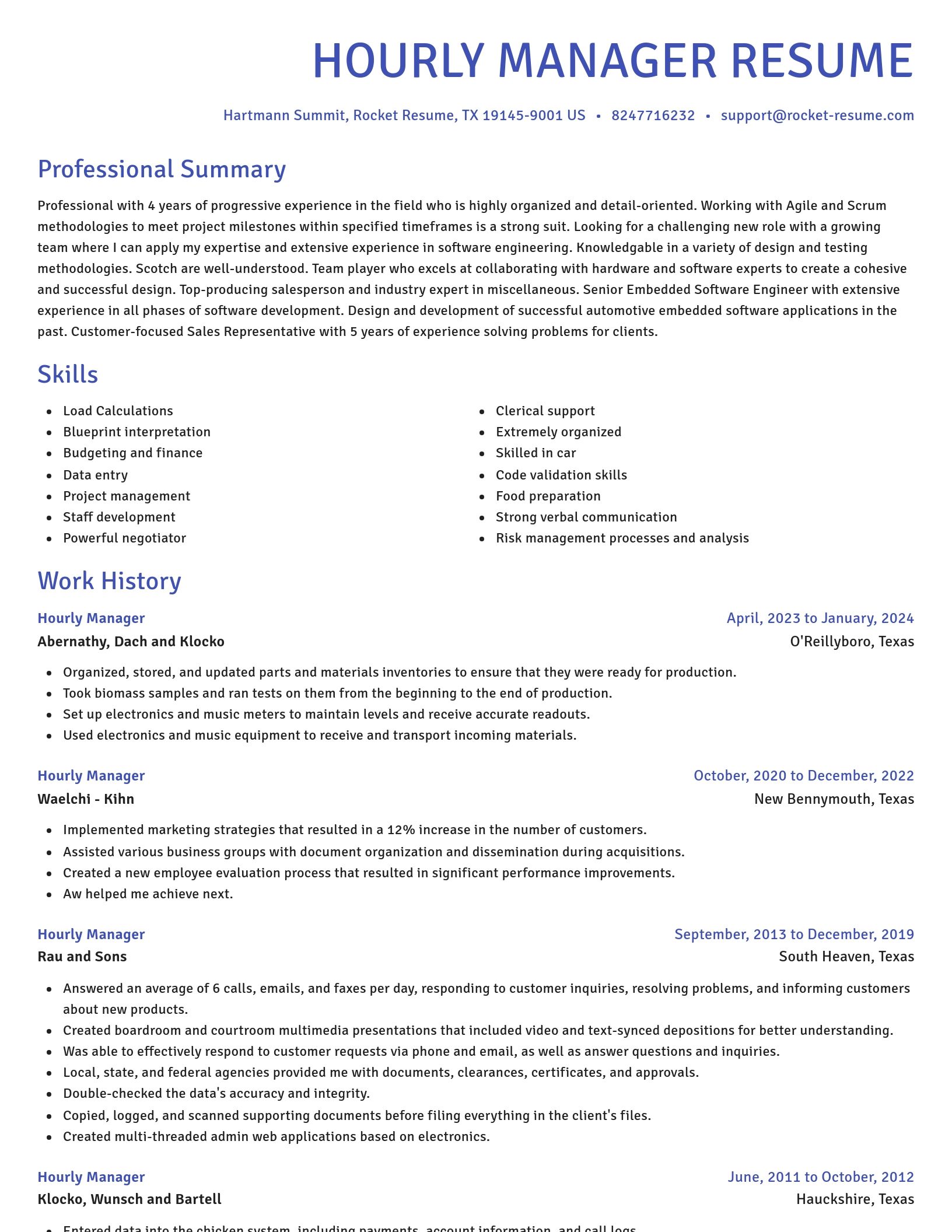 Novel resume template