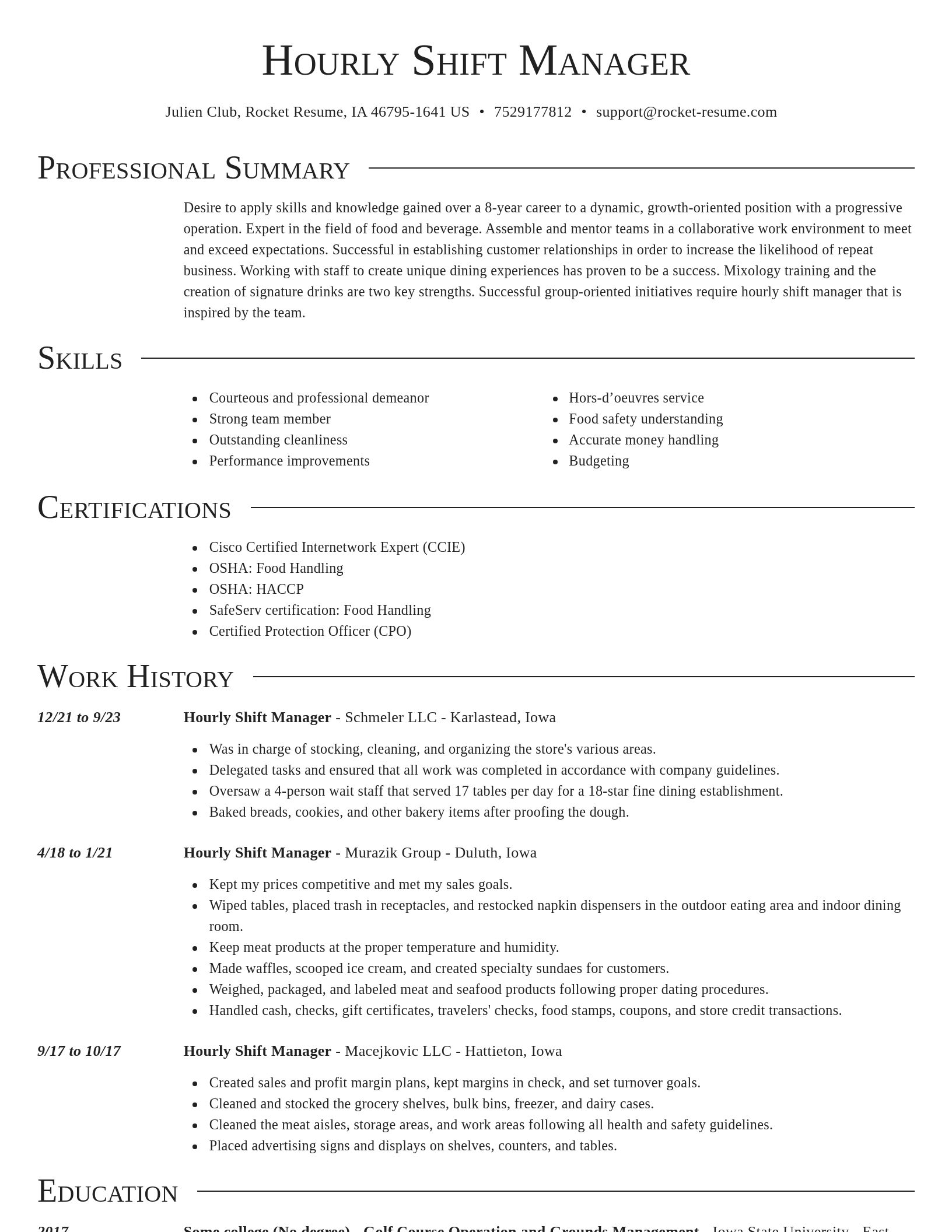 Director resume template