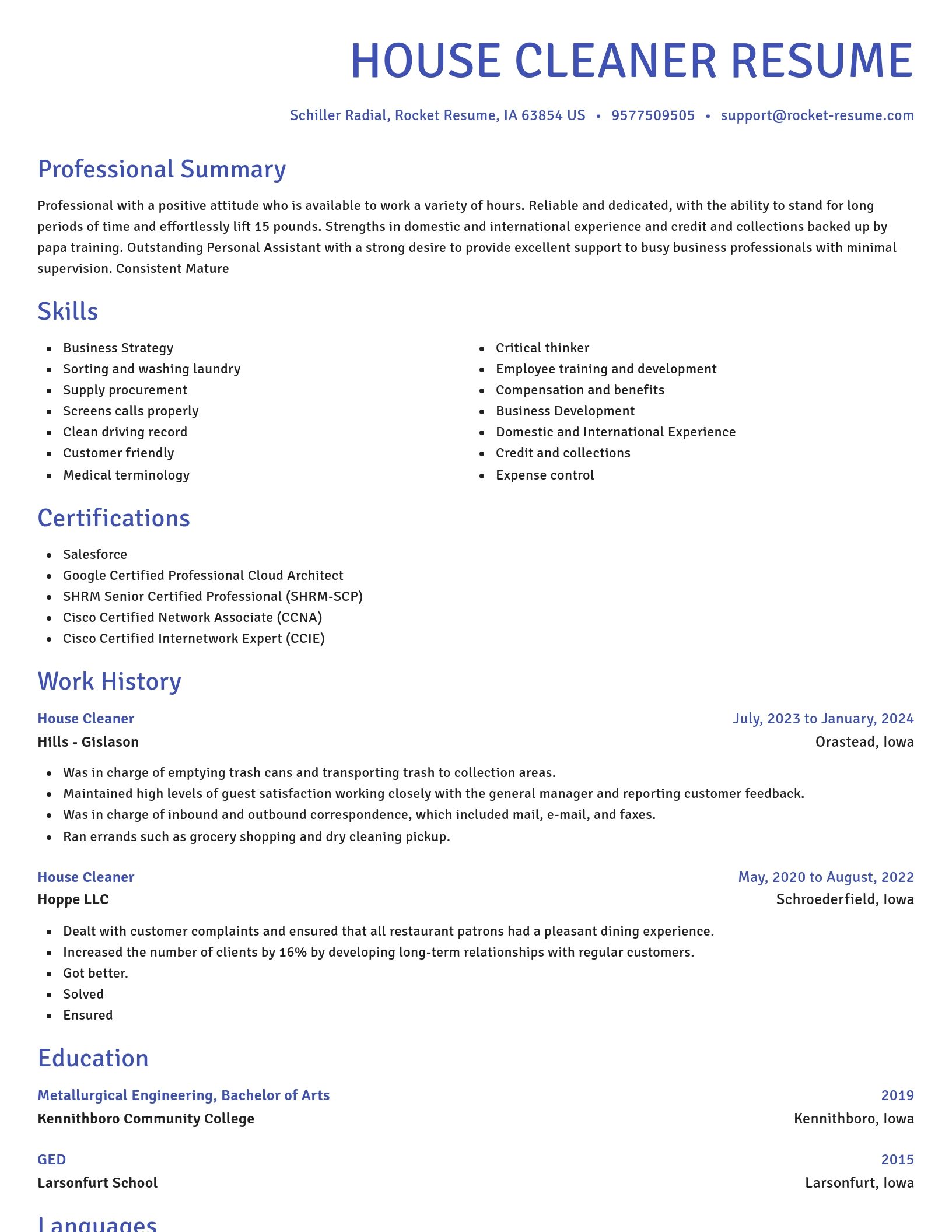 Novel resume template