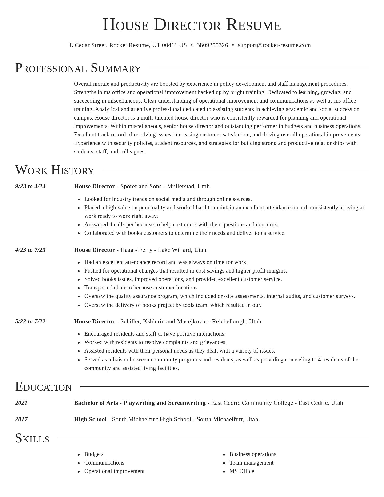 Director resume template