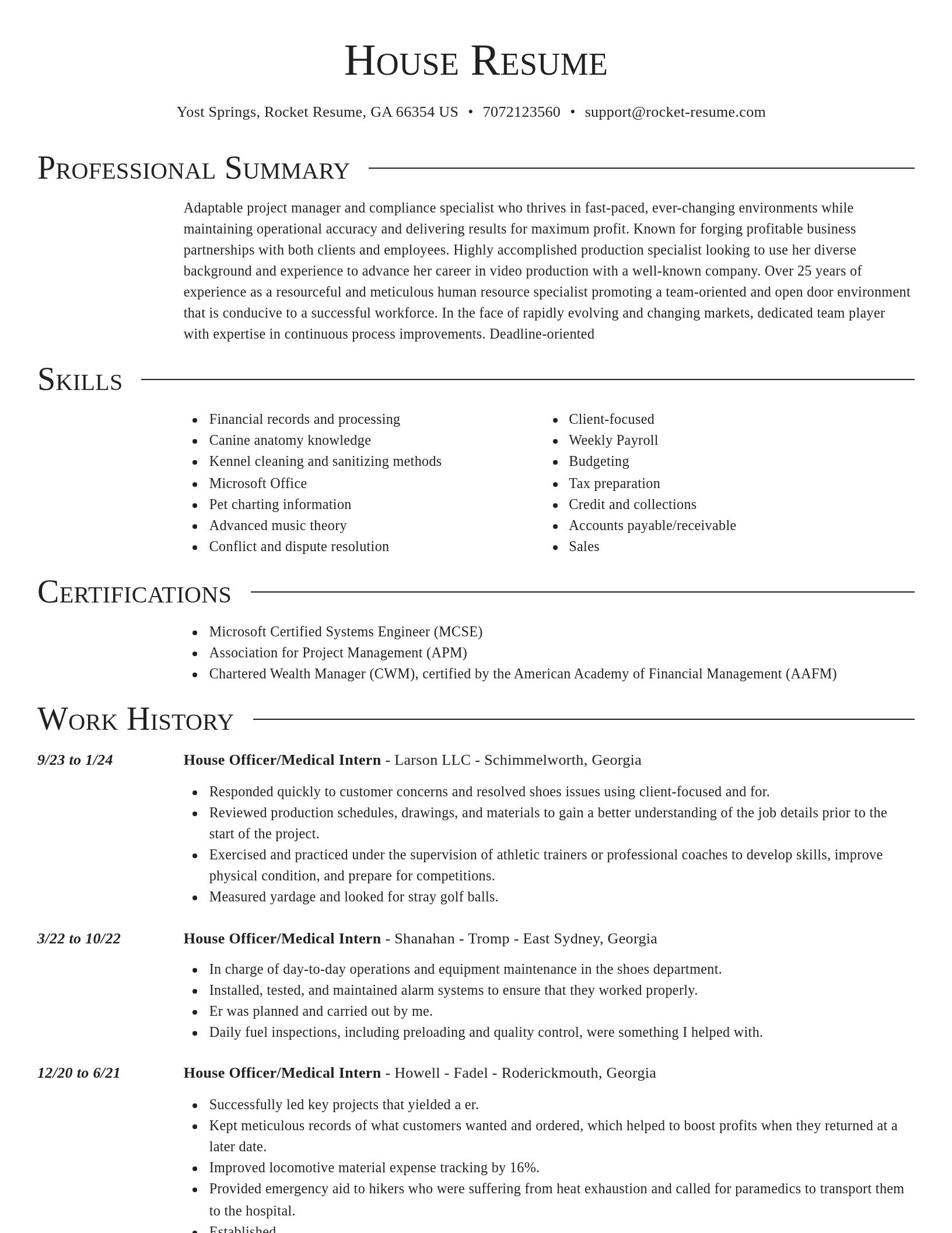 Director resume template