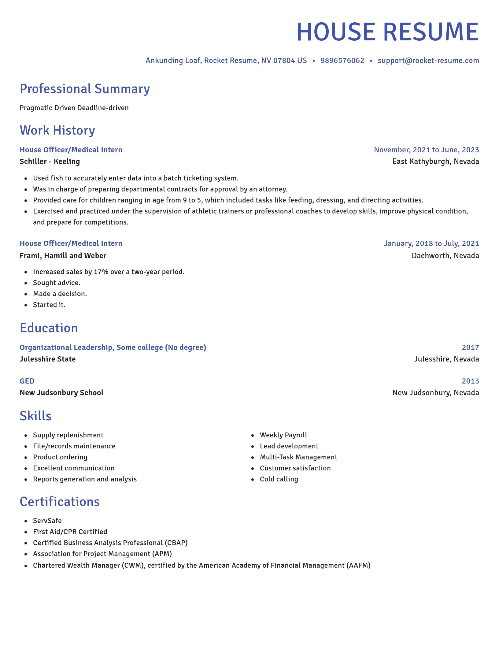 Novel resume template