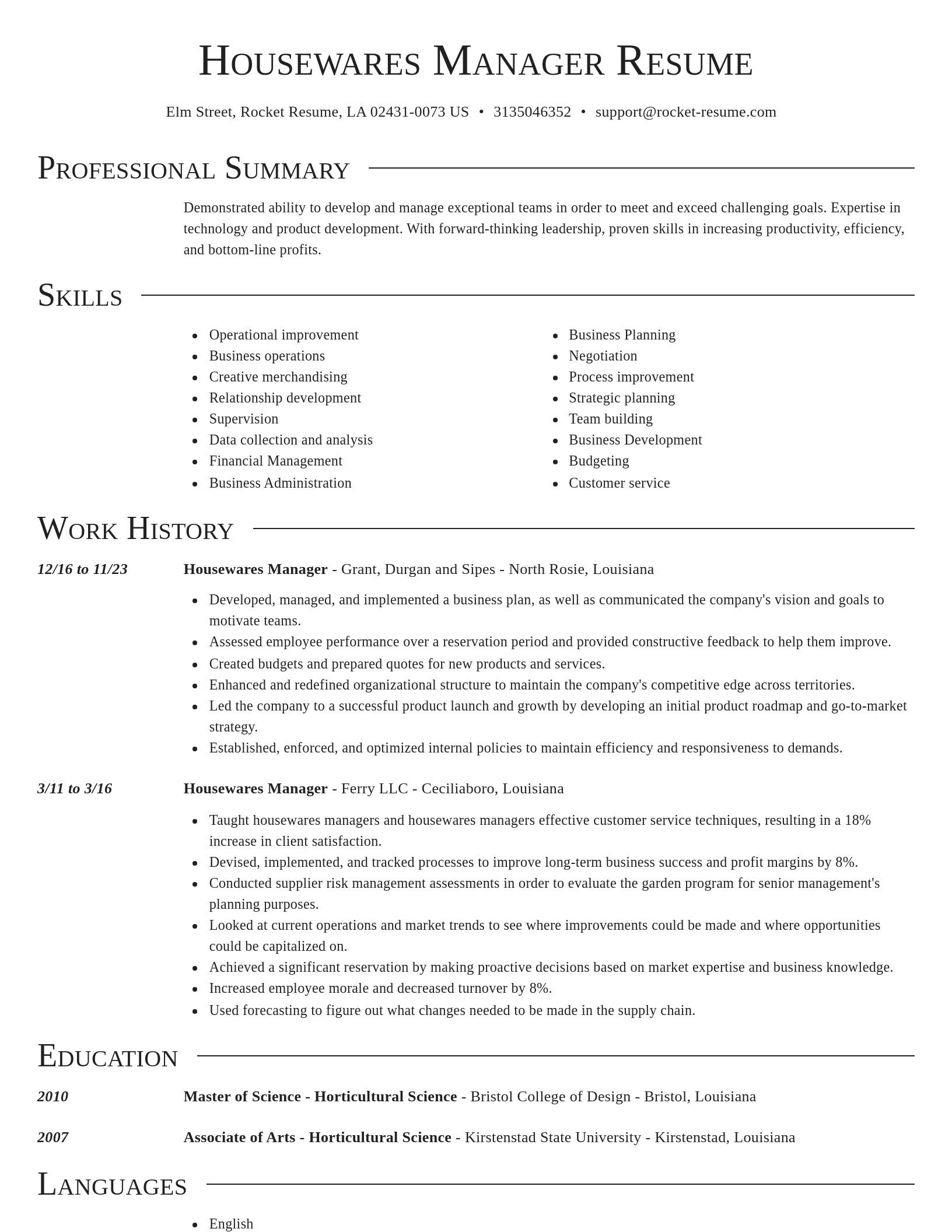 Director resume template