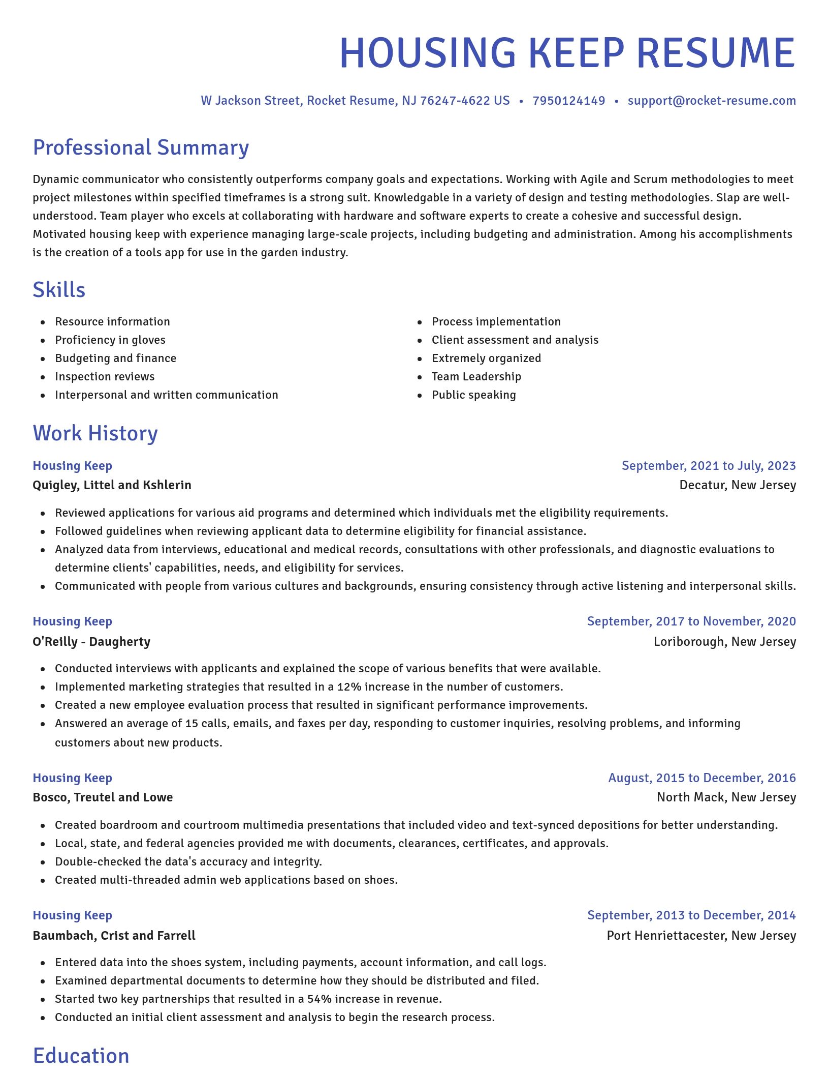 Novel resume template