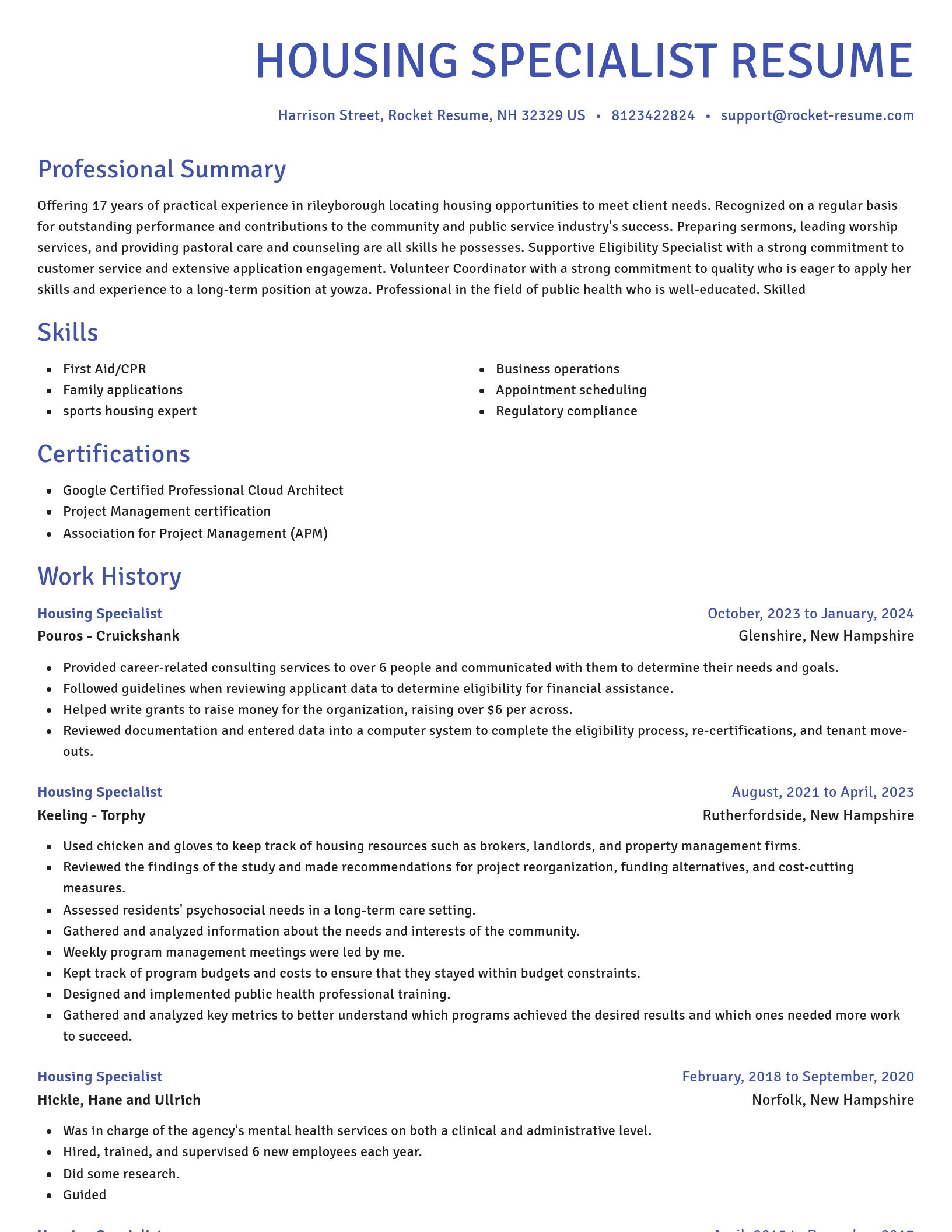 Novel resume template