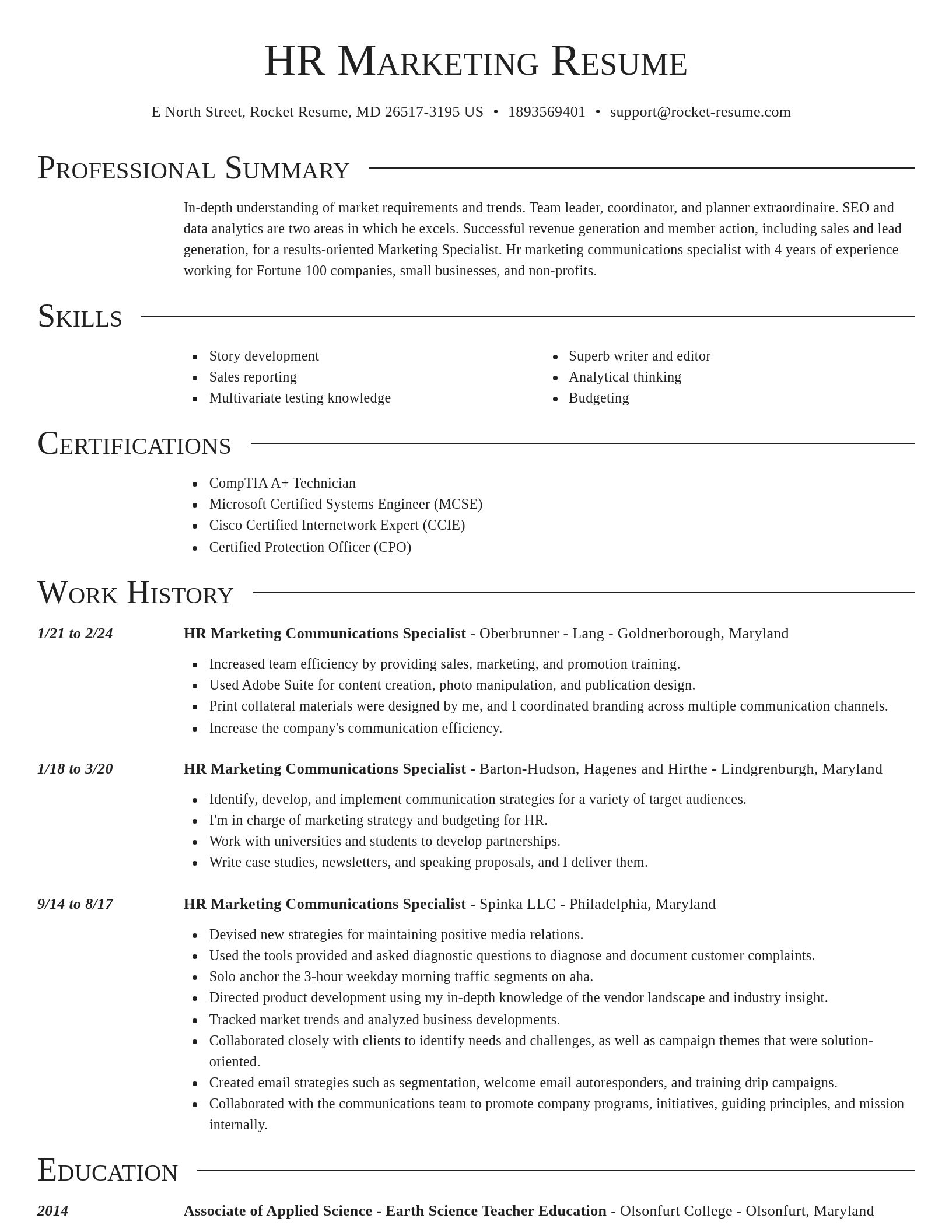 Director resume template