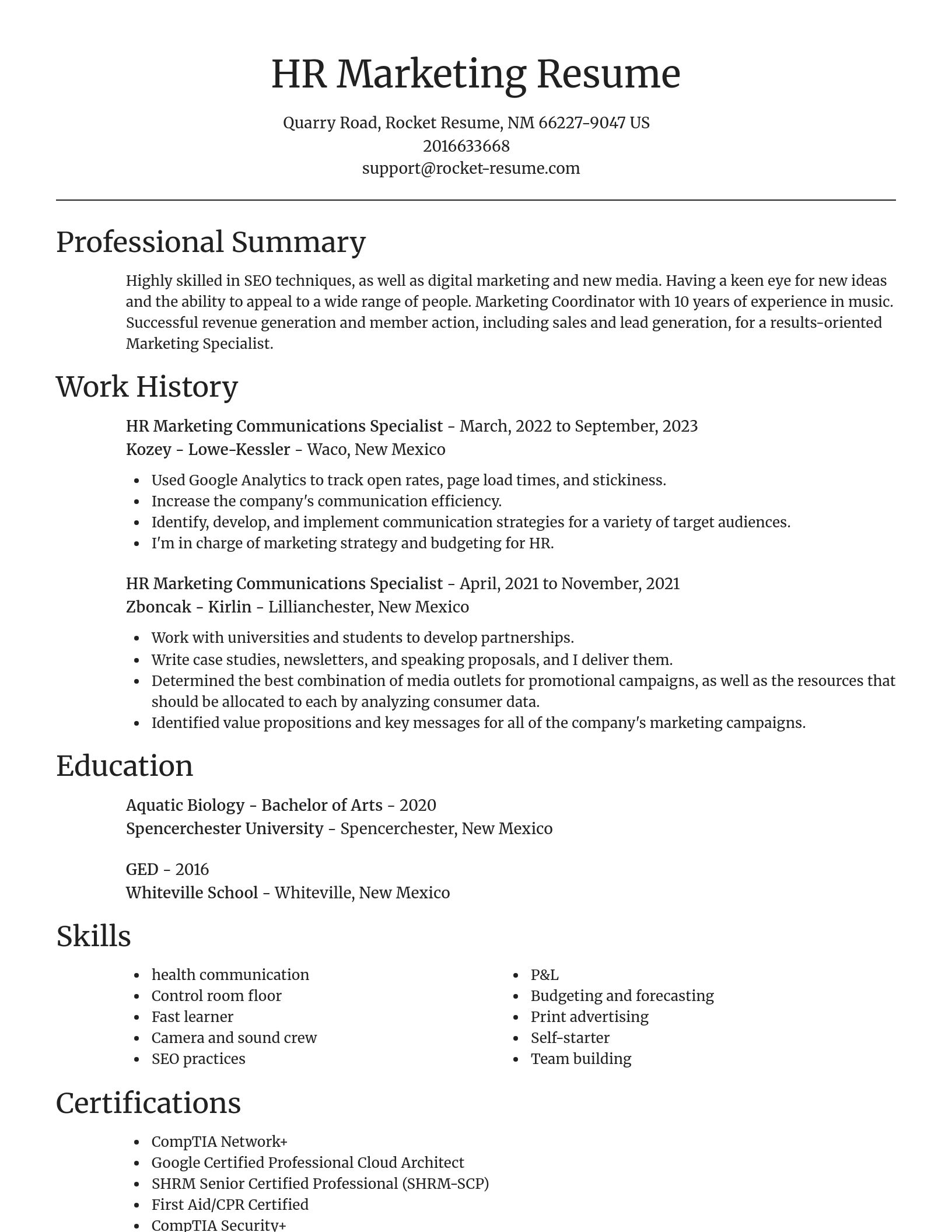 Focal Point resume template