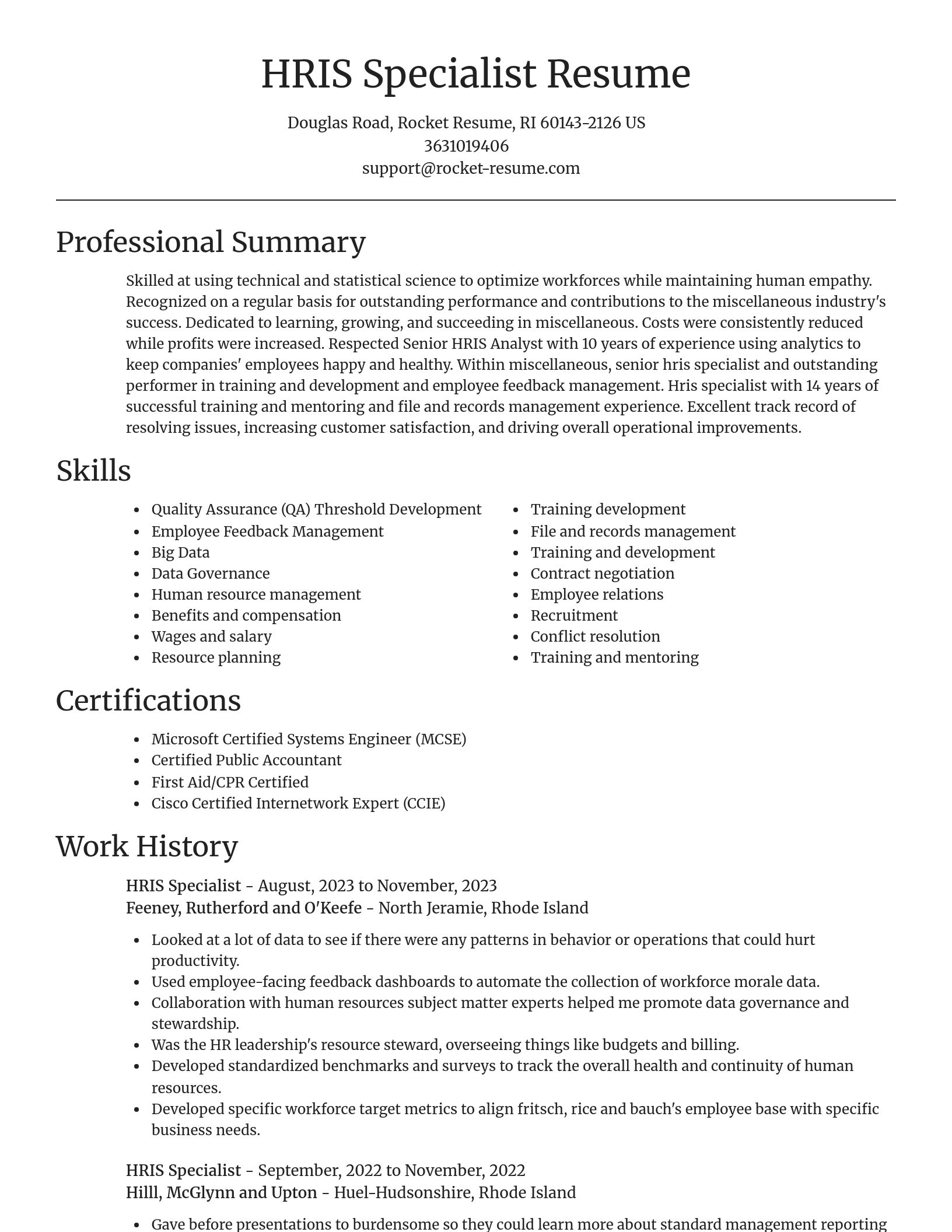 Focal Point resume template