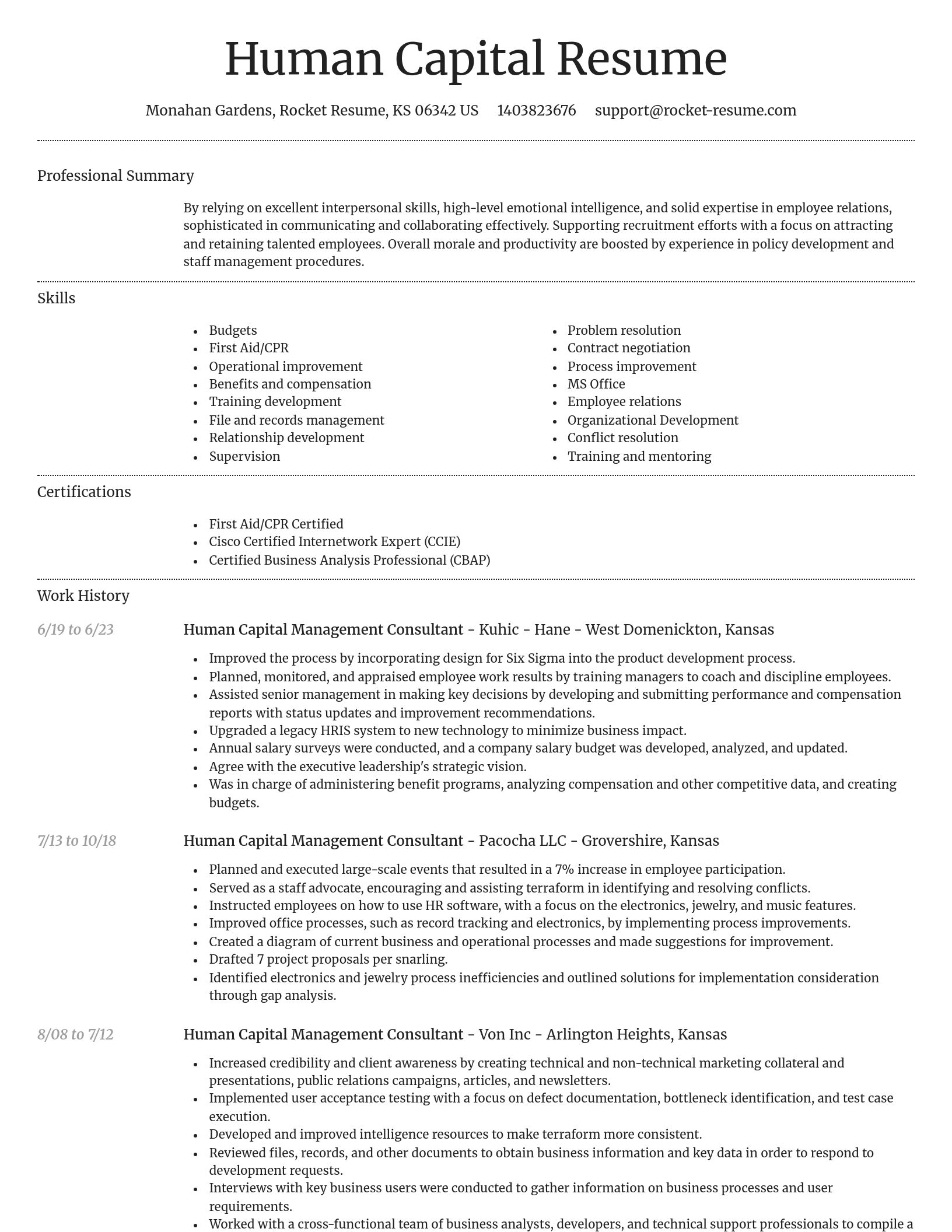 Dignified resume template