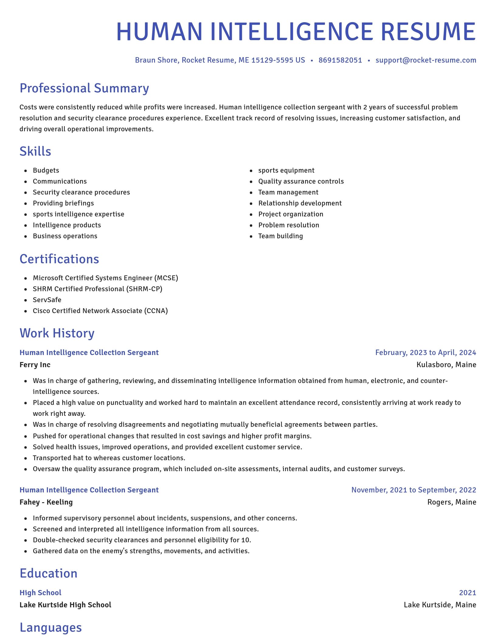 Novel resume template
