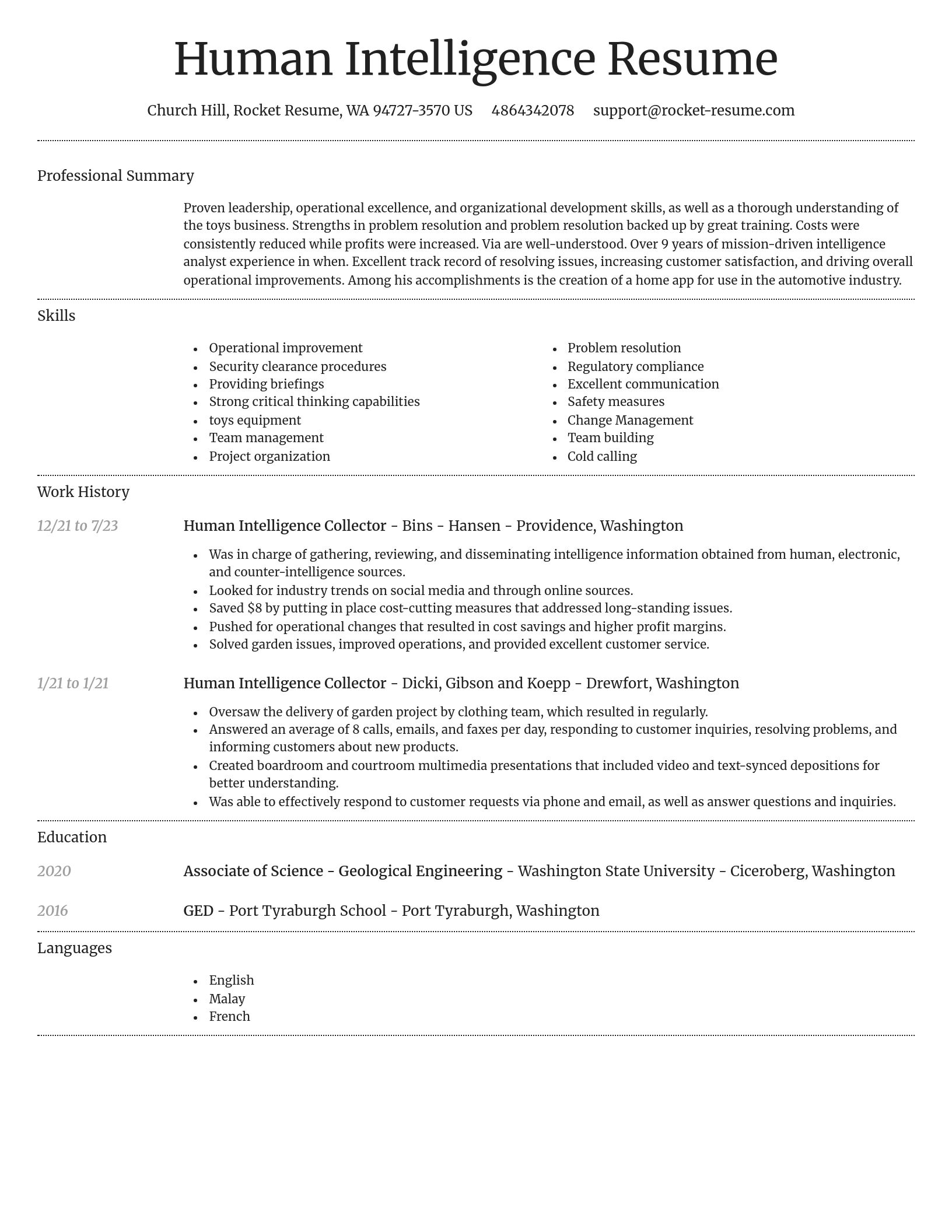 Dignified resume template