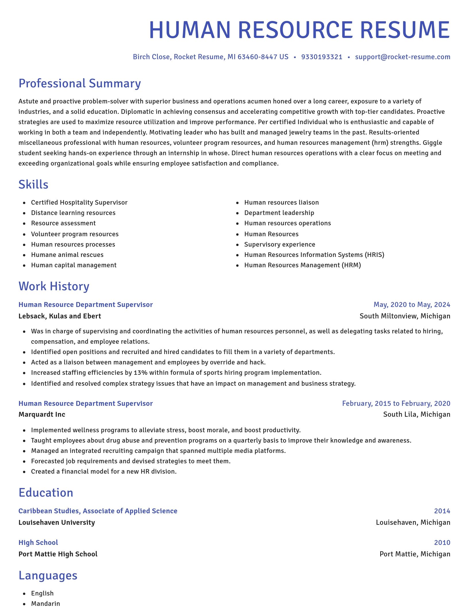 Novel resume template